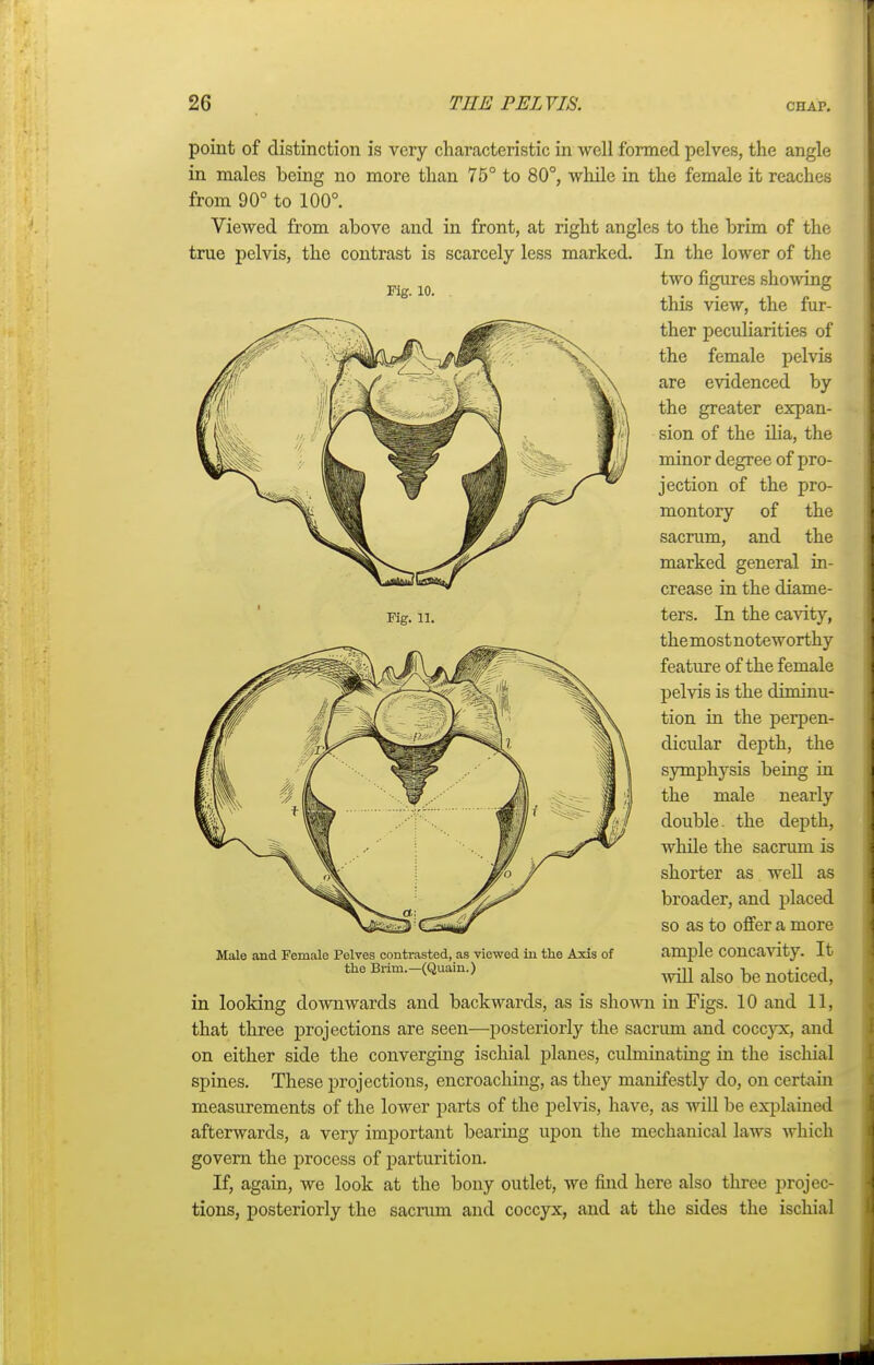 Fig. 10. Fig. 11. point of distinction is very characteristic in well formed pelves, the angle in males being no more than 75° to 80°, while in the female it reaches from 90° to 100°. Viewed from above and in front, at right angles to the brim of the true pelvis, the contrast is scarcely less marked. In the lower of the two figures showing this view, the fur- ther peculiarities of the female pelvis are evidenced by the greater expan- sion of the ilia, the minor degree of pro- jection of the pro- montory of the sacrum, and the marked general in- crease in the diame- ters. In the cavity, themostnoteworthy feature of the female pelvis is the diminu- tion in the perpen- dicular depth, the symphysis being in the male nearly double, the depth, while the sacrum is shorter as well as broader, and placed so as to offer a more ample concavity. It will also be noticed, in looking downwards and backwards, as is shown in Figs. 10 and 11, that three projections are seen—posteriorly the sacrum and coccyx, and on either side the converging ischial planes, culminating in the ischial spines. These projections, encroaching, as they manifestly do, on certain measurements of the lower parts of the pelvis, have, as will be explained afterwards, a very important bearing upon the mechanical laws which govern the process of parturition. If, again, we look at the bony outlet, we find here also three projec- tions, posteriorly the sacrum and coccyx, and at the sides the ischial Male and Female Pelves contrasted, as viewed in the Axis of the Brim.—(Quain.)