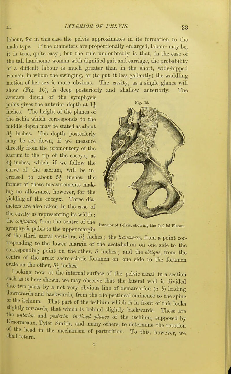 INTERIOR OF PELVIS. Fig. 15. labour, for in this case the pelvis approximates in its formation to the male type. If the diameters are proportionally enlarged, labour may be, it is true, cpiite easy; but the rule undoubtedly is that, in the case of the tall handsome woman with dignified gait and carriage, the probability of a difficult labour is much greater than in the short, wide-hipped woman, in whom the swinging, or (to put it less gallantly) the waddling motion of her sex is more obvious. The cavity, as a single glance will show (Fig. 1G), is deep posteriorly and shallow anteriorly. The average depth of the symphysis pubis gives the anterior depth at 1J inches. The height of the planes of the ischia which corresponds to the middle depth may be stated as about 3 J- inches. The depth posteriorly may be set down, if we measure directly from the promontory of the sacrum to the tip of the coccyx, as 4} inches, which, if we follow the curve of the sacrum, will be in- creased to about 51- inches, the former of these measurements mak- ing no allowance, however, for the yielding of the coccyx. Three dia- meters are also taken in the case of the cavity as representing its width: the conjugate, from the centre of the symphysis pubis to the upper margin of the third sacral vertebra, b\ inches ; the transverse, from a point cor- responding to the lower margin of the acetabulum on one side to the corresponding point on the other, 5 inches; and the oblique, from the centre of the great sacro-sciatic foramen on one side to the foramen ovale on the other, 5|- inches. Looking now at the internal surface of the pelvic canal in a section such as is here shewn, we may observe that the lateral wall is divided into two parts by a not very obvious line of demarcation (a b) leading downwards and backwards, from the ilio-pectineal eminence to the spine of the ischium. That part of the ischium which is in front of this looks slightly forwards, that which is behind slightly backwards. These are She anterior and posterior inclined planes of the ischium, supposed by Desonneaux, Tyler Smith, and many others, to determine the rotation ot the head in the mechanism of parturition. To this, however we shall return. ' Interior of Pelvis, showing the Ischial Planes.