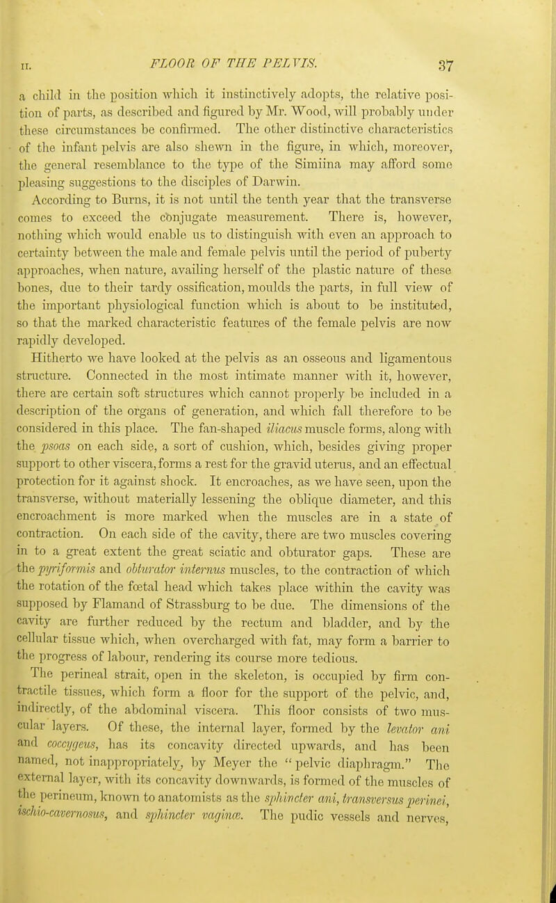 a child in the position which it instinctively adopts, the relative posi- tion of parts, as described and figured by Mr. Wood, will probably under these circumstances be confirmed. The other distinctive characteristics of the infant pelvis are also shewn in the figure, in which, moreover, the general resemblance to the type of the Simiina may afford some pleasing suggestions to the disciples of Darwin. According to Burns, it is not until the tenth year that the transverse comes to exceed the conjugate measurement. There is, however, nothing which would enable us to distinguish with even an approach to certainty between the male and female pelvis until the period of puberty approaches, when nature, availing herself of the plastic nature of these bones, due to their tardy ossification, moulds the parts, in full view of the important physiological function which is about to be instituted, so that the marked characteristic features of the female pelvis are now rapidly developed. Hitherto we have looked at the pelvis as an osseous and ligamentous structure. Connected in the most intimate manner with it, however, there are certain soft structures which cannot properly be included in a description of the organs of generation, and which fall therefore to be considered in this place. The fan-shaped iliacus muscle forms, along with the p>soas on each side, a sort of cushion, which, besides giving proper support to other viscera, forms a rest for the gravid uterus, and an effectual protection for it against shock. It encroaches, as we have seen, upon the transverse, without materially lessening the oblique diameter, and this encroachment is more marked when the muscles are in a state of contraction. On each side of the cavity, there are two muscles covering in to a great extent the great sciatic and obturator gaps. These are the piriformis and obturator internus muscles, to the contraction of which the rotation of the fcetal head which takes place within the cavity was supposed by Flamand of Strassburg to be due. The dimensions of the cavity are further reduced by the rectum and bladder, and by the cellular tissue which, when overcharged with fat, may form a barrier to the progress of labour, rendering its course more tedious. The perineal strait, open in the skeleton, is occupied by firm con- tractile tissues, which form a floor for the support of the pelvic, and, indirectly, of the abdominal viscera. This floor consists of two mus- cular layers. Of these, the internal layer, formed by the levator ani and coccygeus, has its concavity directed upwards, and has been named, not inappropriately, by Meyer the  pelvic diaphragm. The external layer, with its concavity downwards, is formed of the muscles of ihi' perineum, known to anatomists as the sphincter ani, transversus permei wfoo-cavemosus, and sphincter vagina. The pudlc vessels and nerves,