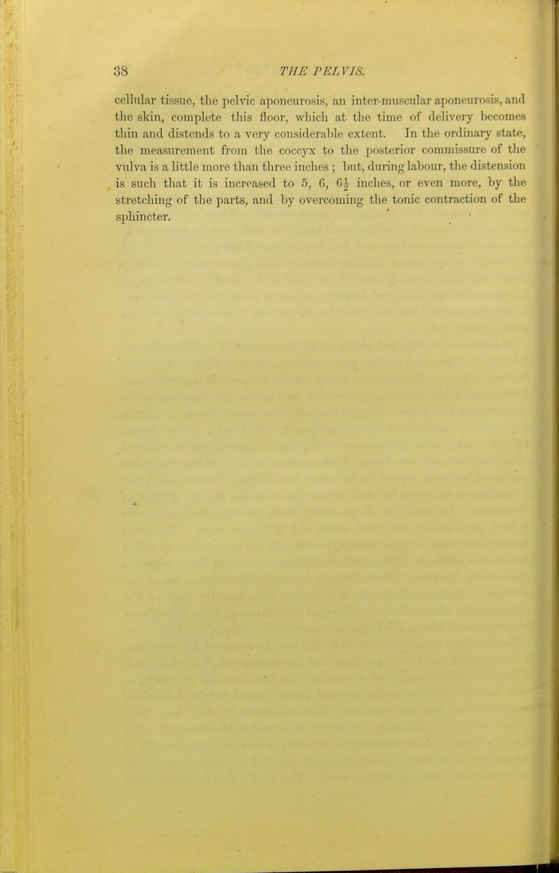 cellular tissue, the pelvic aponeurosis, an inter-muscular aponeurosis, and the skin, complete this floor, which at the time of delivery becomes thin and distends to a very considerable extent. In the ordinary state, the measurement from the coccyx to the posterior commissure of the vulva is a little more than three inches ; but, during labour, the distension is such that it is increased to 5, 6, 6£ inches, or even more, by the stretching of the parts, and by overcoming the tonic contraction of the sphincter.