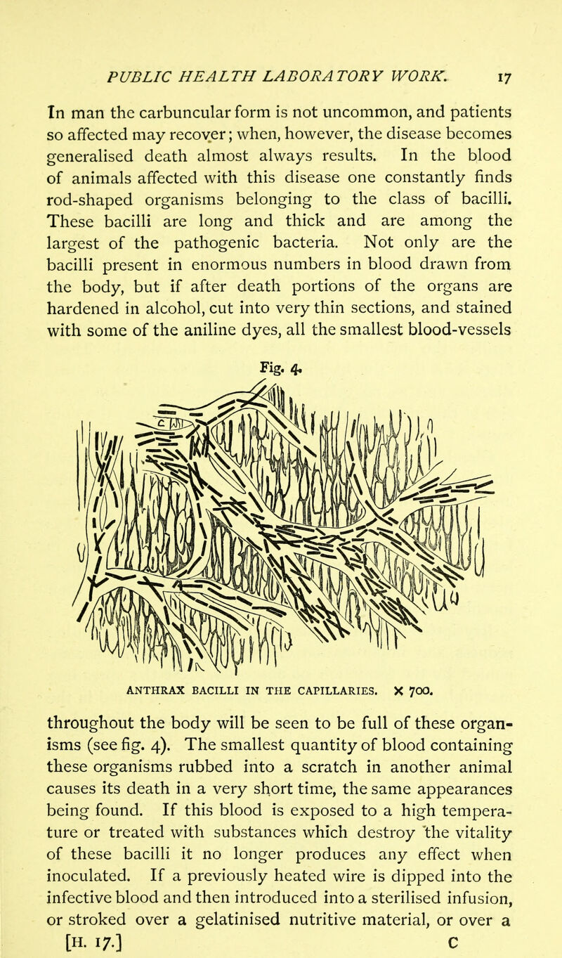 In man the carbuncular form is not uncommon, and patients so affected may recover; when, however, the disease becomes generahsed death almost always results. In the blood of animals affected with this disease one constantly finds rod-shaped organisms belonging to the class of bacilli. These bacilli are long and thick and are among the largest of the pathogenic bacteria. Not only are the bacilli present in enormous numbers in blood drawn from the body, but if after death portions of the organs are hardened in alcohol, cut into very thin sections, and stained with some of the aniline dyes, all the smallest blood-vessels ANTHRAX BACILLI IN THE CAPILLARIES. X 700. throughout the body will be seen to be full of these organ- isms (see fig. 4). The smallest quantity of blood containing these organisms rubbed into a scratch in another animal causes its death in a very short time, the same appearances being found. If this blood is exposed to a high tempera- ture or treated with substances which destroy 'the vitality of these bacilli it no longer produces any effect when inoculated. If a previously heated wire is dipped into the infective blood and then introduced into a sterilised infusion, or stroked over a gelatinised nutritive material, or over a [H. 17.] C