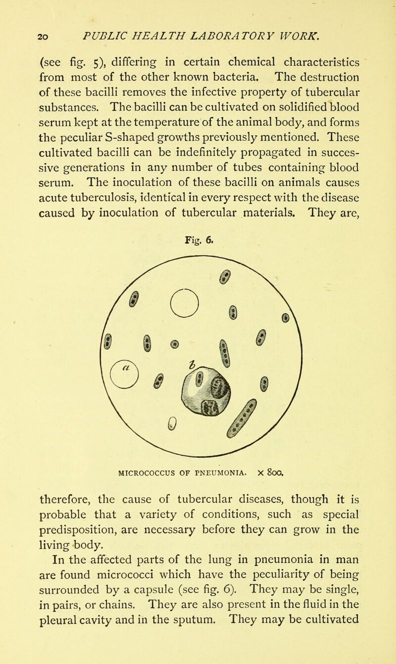 (see fig. 5), differing in certain chemical characteristics from most of the other known bacteria. The destruction of these bacilli removes the infective property of tubercular substances. The bacilli can be cultivated on solidified blood serum kept at the temperature of the animal body, and forms the peculiar S-shaped growths previously mentioned. These cultivated bacilli can be indefinitely propagated in succes- sive generations in any number of tubes containing blood serum. The inoculation of these bacilli on animals causes acute tuberculosis, identical in every respect with the disease caused by inoculation of tubercular materials. They are, Fig. 6. MICROCOCCUS OF PNEUMONIA. X 8oO. therefore, the cause of tubercular diseases, though it is probable that a variety of conditions, such as special predisposition, are necessary before they can grow in the living body. In the affected parts of the lung in pneumonia in man are found micrococci which have the peculiarity of being surrounded by a capsule (see fig. 6). They may be single, in pairs, or chains. They are also present in the fluid in the pleural cavity and in the sputum. They may be cultivated