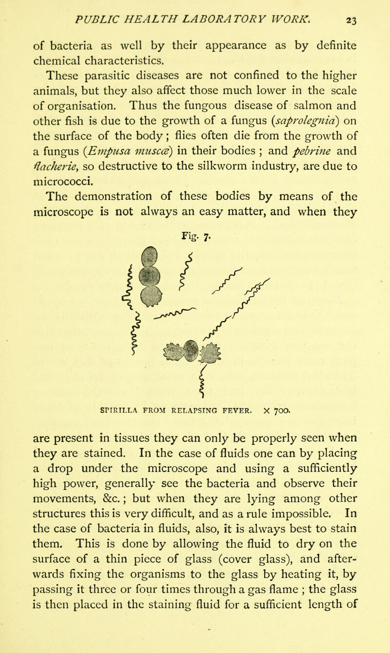 of bacteria as well by their appearance as by definite chemical characteristics. These parasitic diseases are not confined to the higher animals, but they also affect those much lower in the scale of organisation. Thus the fungous disease of salmon and other fish is due to the growth of a fungus (saprolegnia) on the surface of the body; flies often die from the growth of a fungus {Empiisa miisccB) in their bodies ; and pebrijte and Hacheriey so destructive to the silkworm industry, are due to micrococci. The demonstration of these bodies by means of the microscope is not always an easy matter, and when they are present in tissues they can only be properly seen when they are stained. In the case of fluids one can by placing a drop under the microscope and using a sufficiently high power, generally see the bacteria and observe their movements, &c.; but when they are lying among other structures this is very difficult, and as a rule impossible. In the case of bacteria in fluids, also, it is always best to stain them. This is done by allowing the fluid to dry on the surface of a thin piece of glass (cover glass), and after- wards fixing the organisms to the glass by heating it, by passing it three or four times through a gas flame ; the glass is then placed in the staining fluid for a sufficient length of Fig. 7. SriRILLA FROM RELAPSING FEVER. X 70O.