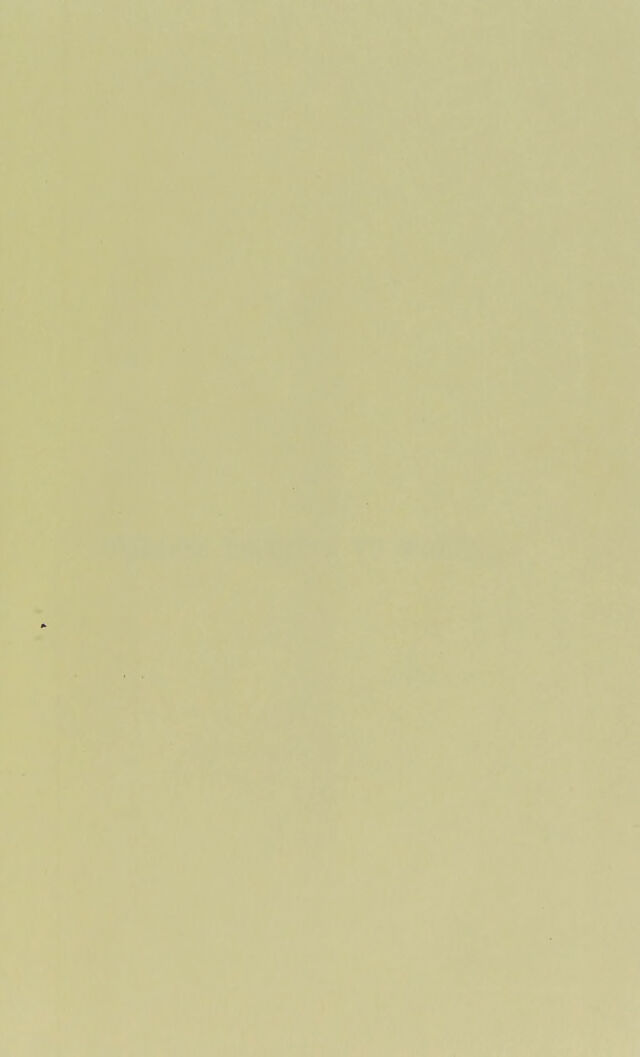 digitised image 3