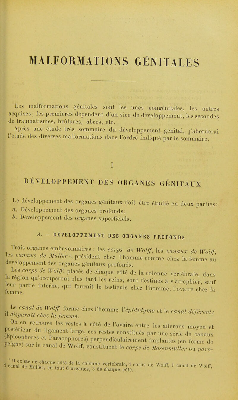 MALFORMATIONS GÉNITALES Les malformations génitales sont les unes congénitales, les autres acquises; les premières dépendent d'un vice de développement, les secondes de traumatismes, brûlures, abcès, etc. Après une étude très sommaire du développement génital, j'aborderai l'étude des diverses malformations dans l'ordre indiqué par le sommaire. DÉVELOPPEMENT DES ORGANES GÉNITAUX Le développement des organes génitaux doit être étudié en deux parties: a. Développement des organes profonds; b. Développement des organes superficiels. A. - DÉVELOPPEMENT DES ORGANES PROFONDS Trois organes embryonnaires : les corps de Wolff, les canaux de Wolff, es canaux de Millier président chez l'homme comme chez la femme au '''•veloppcment des organes génitaux profonds. Les corps de Wol/T, placés de chaque côté de la colonne vertébrale, dans a région qu occuperont plus tard les reins, sont destinés à s'atrophier, sauf femme intemC' ^ ^ CheZ Vhom^ Vo^re chez la il )tïmald\ !™Vormc ChGZ I,h°mmc ÏWMm* * le canal déférent; il disparaît chez la femme. ' ZlT r0t,r°r 168 à CÔté de r°VairC entie ]cs ailerons moyen et posteneur du ligament large, ces restes constitués par un. série de canaux (Lpioophores et Paraoophores) perpendiculairement implantés (en forme de ^igne) sur le canal de Wolff, constituent le corps de Rosenmuller ou paro 1 canalXiïV!ui^'a^Cto^V^ ^T? ' ^S de Wolff- 1 ca™] *■ Wolff,