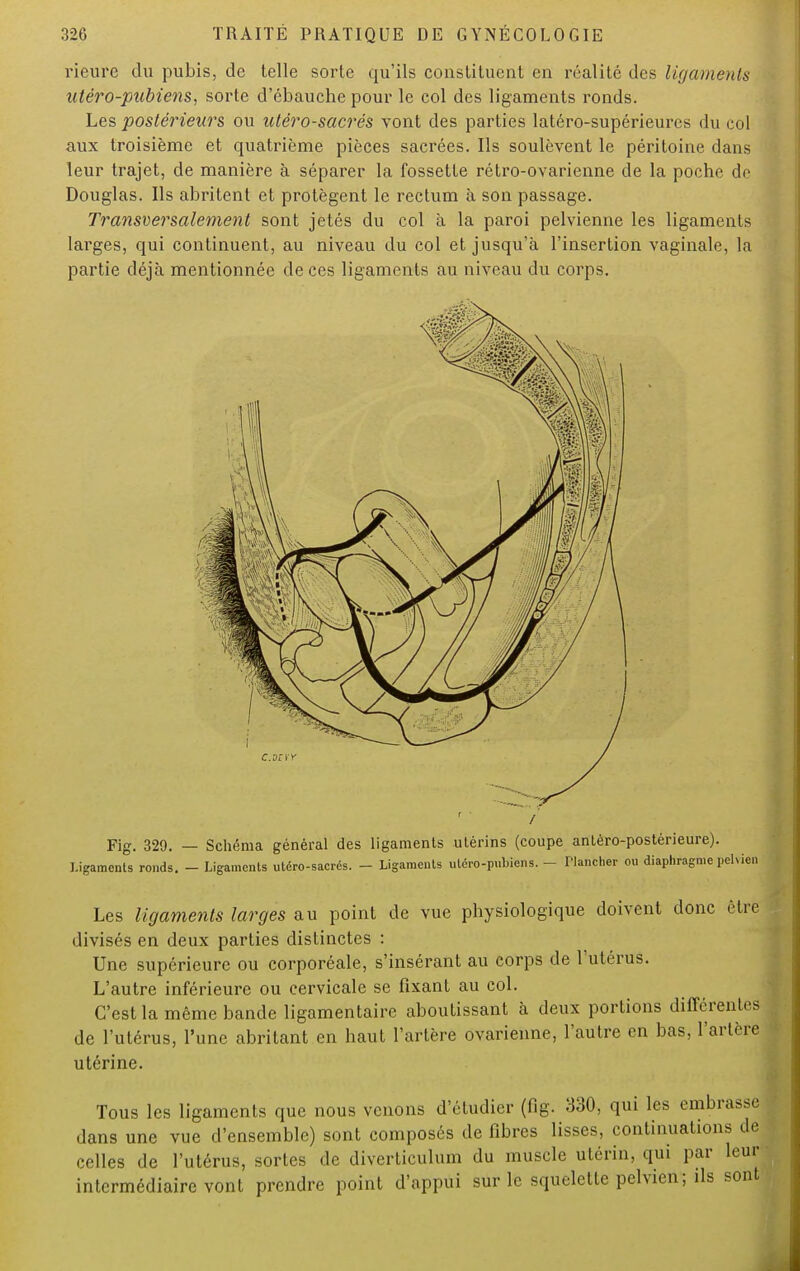 rieure du pubis, de telle sorte qu'ils constituent en réalité des ligaments utéro-pubiens, sorte d'ébauche pour le col des ligaments ronds. Les postérieurs ou utéro-sacrés vont des parties latéro-supérieures du col aux troisième et quatrième pièces sacrées. Ils soulèvent le péritoine dans leur trajet, de manière à séparer la fossette rétro-ovarienne de la poche de Douglas. Ils abritent et protègent le rectum à son passage. Transversalement sont jetés du col à la paroi pelvienne les ligaments larges, qui continuent, au niveau du col et jusqu'à l'insertion vaginale, la partie déjà mentionnée de ces ligaments au niveau du corps. C.oîvy I Fig. 329. — Schéma général des ligaments utérins (coupe antéro-postérieure). Ligaments ronds. - Ligaments utéro-sacrés. - Ligaments utéro-pubiens. - Tlancher ou diaphragme pelvien Les ligaments larges au point de vue physiologique doivent donc être divisés en deux parties distinctes : Une supérieure ou corporéale, s'insérant au corps de l'utérus. L'autre inférieure ou cervicale se fixant au col. C'est la même bande ligamentaire aboutissant à deux portions différentes! de l'utérus, l'une abritant en haut l'artère ovarienne, l'autre en bas, l'artère utérine. Tous les ligaments que nous venons d'étudier (fig. 330, qui les embrasse dans une vue d'ensemble) sont composés de fibres lisses, continuations de celles de l'utérus, sortes «le diverticulum du muscle utérin, qui par leur intermédiaire vont prendre point d'appui sur le squelette pelvien; ils sont