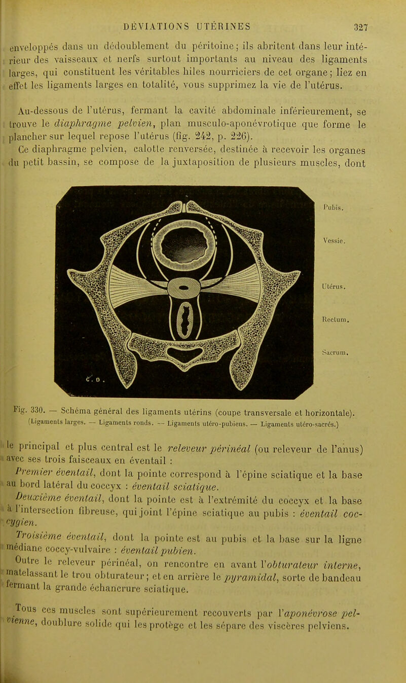 enveloppés dans un dédoublement du péritoine; ils abritent dans leur inté- rieur des vaisseaux et nerfs surtout importants au niveau des ligaments larges, qui constituent les véritables hiles nourriciers de cet organe ; liez en effet les ligaments larges en totalité, vous supprimez la vie de l'utérus. Au-dessous de l'utérus, fermant la cavité abdominale inférieurement, se trouve le diaphragme pelvien, plan musculo-aponévrotique que forme le plancher sur lequel repose l'utérus (fig. 242, p. 226). Ce diaphragme pelvien, calotte renversée, destinée à recevoir les organes du petit bassin, se compose de la juxtaposition de plusieurs muscles, dont l'uljis Vessie. Utérus. Reclum. sacrum. Fig. 330. — Schéma général des ligaments utérins (coupe transversale et horizontale). Ligaments larges. — Ligaments ronds. — Ligaments utéro-pubiens. — Ligaments utéro-sacrés.) le principal et plus central est le releveur périnéal (ou releveur de l'anus) •» avec ses trois faisceaux en éventail : fremier éventail, dont la pointe correspond à l'épine sciatique et la base au bord latéral du coccyx : éventail sciatique. Deuxième éventail, dont la pointe est à l'extrémité du coccyx et la base ;| 'intersection fibreuse, qui joint l'épine sciatique au pubis : éventail coc- cygien. lroisieme éventail, dont la pointe est au pubis et la base sur la ligne ' médiane coccy-vulvaire : éventail pubien. Outre le releveur périnéal, on rencontre en avant Vobluraleur interne, latelassantle trou obturateur; et en arrière le pyramidal, sorte de bandeau lermant la grande échancrure sciatique. ous ces muscles sont supérieurement recouverts par Yaponévrose peU tienne, doublure solide qui les protège et les sépare des viscères pelviens.