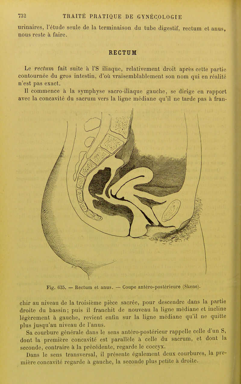 urinaires, l'étude seule de la terminaison du tube digestif, rectum et anus, nous reste à faire. RECTUM Le rectum fait suite à l'S iliaque, relativement droit après cette partie contournée du gros intestin, d'où vraisemblablement son nom qui en réalité n'est pas exact. Il commence à la symphyse sacro-iliaque gauche, se dirige en rapport avec la concavité du sacrum vers la ligne médiane qu'il ne tarde pas à fran- Fig. 635. — Rectum et anus. — Coupe antéro-postérieure (Skene). chir au niveau de la troisième pièce sacrée, pour descendre dans la partie droite du bassin; puis il franchit de nouveau la ligne médiane et incline légèrement à gauche, revient enfin sur la ligne médiane qu'il ne quitte plus jusqu'au niveau de l'anus. Sa courbure générale dans le sens antéro-postérieur rappelle celle d'un S, dont la première concavité est parallèle à celle du sacrum, et dont la seconde, contraire à la précédente, regarde le coccyx. Dans le sens transversal, il présente également deux courbures, la pre- mière concavité regarde à gauche, la seconde plus petite à droite.