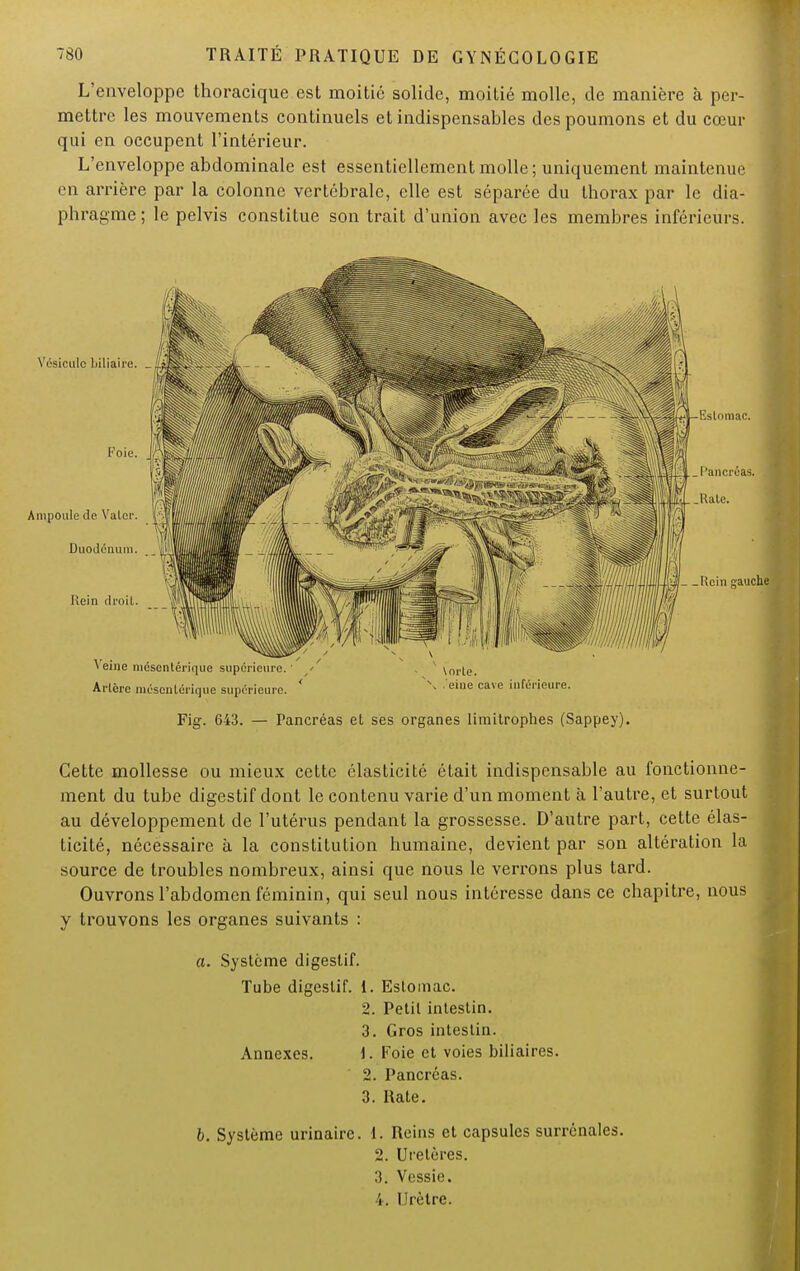 L'enveloppe thoracique est moitié solide, moitié molle, de manière à per- mettre les mouvements continuels et indispensables des poumons et du cœur qui en occupent l'intérieur. L'enveloppe abdominale est essentiellement molle ; uniquement maintenue en arrière par la colonne vertébrale, elle est séparée du thorax par le dia- phragme ; le pelvis constitue son trait d'union avec les membres inférieurs. > eine mésentérique supérieure. ' / . \orle. Arlôrc mésentérique supérieure.  N 'eine cave inférieure. Fig. 643. — Pancréas et ses organes limitrophes (Sappey). Cette mollesse ou mieux cette élasticité était indispensable au fonctionne- ment du tube digestif dont le contenu varie d'un moment à l'autre, et surtout au développement de l'utérus pendant la grossesse. D'autre part, cette élas- ticité, nécessaire à la constitution humaine, devient par son altération la source de troubles nombreux, ainsi que nous le verrons plus tard. Ouvrons l'abdomen féminin, qui seul nous intéresse dans ce chapitre, nous y trouvons les organes suivants : a. Système digestif. Tube digestif, i. Estomac. 2. Petit intestin. 3. Gros intestin. Annexes. \. Foie et voies biliaires. 2. Pancréas. 3. Rate. b. Système urinairc. 1. Reins et capsules surrénales. 2. Uretères. 3. Vessie. 4. Urètre.