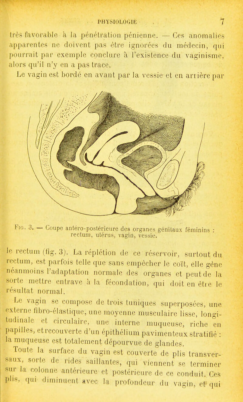 très favorable k la pénélralion pénienne. — Ces anomalies appareilles ne doivent pas être ignorées du médecin, qui pourrait par exemple conclure à l'existence du vaginisme, alors qu'il n'}^ en a pas trace. Le vagin est bordé en avant par la vessie et en arrière par FiG. 3. — Coupe antéro-postérieiire des organes génitaux féminins : rectum, utérus, vagin, vessie. le rectum (fig. 3). La réplélion de ce réservoir, surtout du rectum, est parfois telle que sans empêcher le coït, elle gène néanmoins l'adaptation normale des organes et peut de la sorte mettre entrave à la fécondation, qui doit en être le résultat normal. Le vagin se compose de trois tuniques superposées, une externe fibro-élastique, une moyenne musculaire lisse, longi- tudinale et circulaire, une interne muqueuse, riche en papilles, etrecouverte d'un épithélium pavimenteuxstratifié • la muqueuse est totalement dépourvue de glandes. Toute la surface du vagin est couverte de plis transver- saux sorte de rides saillantes, qui viennent se terminer sur la colonne antérieure et postérieure de ce conduit. Ces plis, qui diminuent avec la profondeur du vagin, et qui