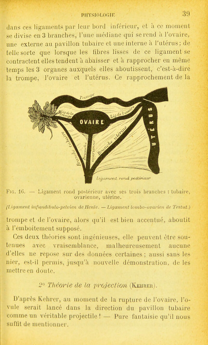 30 dans ces ligaments par leur bord inrérieur, et à ce moment se divise en 3 branches, l'une médiane qui se rend à l'ovaire, une externe au pavillon tubaire el une interne à l'utérus: de telle sorte que lorsque les fibres lisses de ce ligament se contractent elles tendent à abaisser et a rapprocher en même temps les 3 organes auxquels elles aboutissent, c'est-à-dire la trompe, l'ovaire et l'utérus. Ce rapprochement de la FiG. 10. — Lig'amenl rond postérieur avec ses trois brandies : tnbaire, ovarienne, utérine. {Ligament infundibulo-pelvien de Henle. —Ligament lombo-ouarien de Testât.) trompe et de l'ovaire, alors qu'il est bien accentué, aboutit à l'emboitement supposé. Ces deux théories sont ingénieuses, elle peuvent être sou- tenues avec vraisemblance, malheureusement aucune d'elles ne repose sur des données certaines : aussi sans les nier, est-il permis, jusqu'à nouvelle démonstration, de les mettre en doute. 2^ Tltéorie de la pi'ùjecHon (Keiirer). D'après Kehrer, au moment de la rupture de l'ovaire, l'o- vule serait lancé dans la direction du pavillon tubaire comme un véritable projectile ! — Pure fantaisie qu'il nous suffit de mentionner.