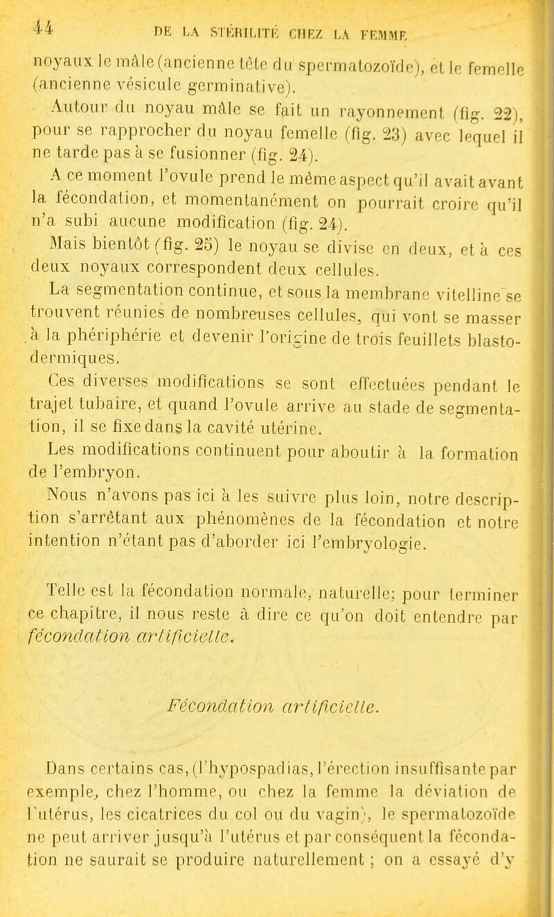 noyaux le mâle (ancienne tète du spermatozoïde), et le femelle (ancienne vésicule germinative). Autour du noyau mâle se fait un rayonnement (fig. 22), pour se rapprocher du noyau femelle (fîg. 23) avec lequel il ne tarde pas à se fusionner (fig. 24). A ce moment l'ovule prend le même aspect qu'il avait avant la fécondation, et momentanément on pourrait croire qu'il n'a subi aucune modification (fig. 24). Mais bientôt (fig. 25) le noyau se divise en deux, et à ces deux noyaux correspondent deux cellules. La segmentation continue, et sous la membrane vilelline se trouvent réunies de nombreuses cellules, qui vont se masser à la phériphérie et devenir l'origine de trois feuillets blasto- dermiques. Ces diverses modifications se sont effectuées pendant le trajet tubaire, et quand l'ovule arrive au stade de segmenta- tion, il se fixe dans la cavité utérine. Les modifications continuent pour aboutir à la formation de l'embryon. Nous n'avons pas ici a les suivre plus loin, notre descrip- tion s'arrétant aux phénomènes de la fécondation et notre intention n'étant pas d'a,border ici l'embryologie. Telle est la fécondation normale, naturelle; pour terminer ce chapitre, il nous reste à dire ce qu'on doit entendre par fécond a lion arlificiel le. Fécondation ariificiclle. Dans certains cas, (l'hypospadias, l'érection insuffisante par exemple^ chez l'homme, ou chez la femme la déviation d^ l'utérus, les cicatrices du col ou du vagin), le spermatozoïdr ne peut arriver jusqu'à l'utérus et par conséquent la féconda- tion ne saurait se produire naturellement ; on a essayé d'y