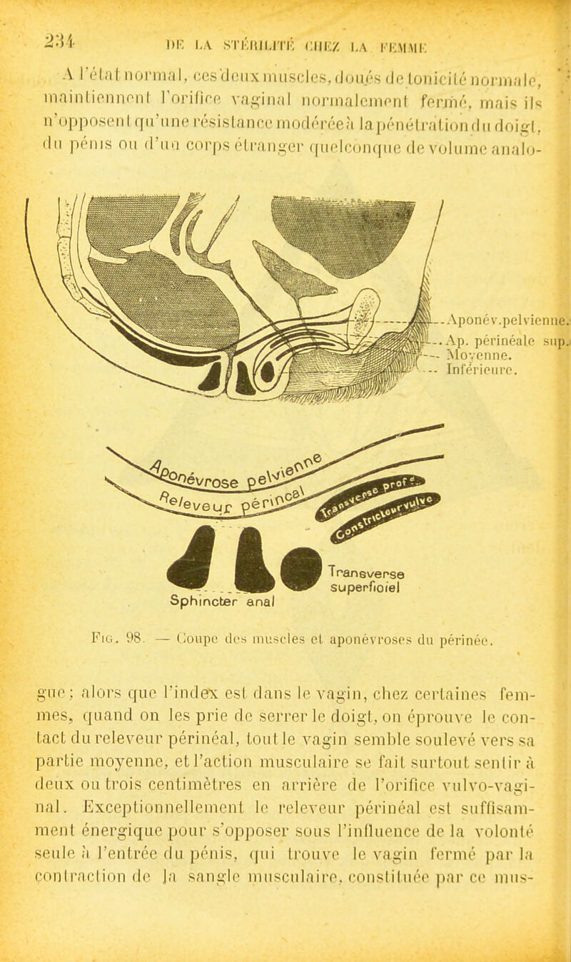 A Téta t. normal, ces'deiix imiscles, doués de tonicité normale, maintiennenl rorifire vaginal normalement fenlié, mais ils n'opposentqu'une résistancemodéréeàlapénétrationdn doigt, du pénis ou d'ua corps étranger quelconque de volume analo- gue ; alors que l'index est dans le vagin, chez certaines Tem- mes, quand on les prie de serrer le doigt, on éprouve le con- tact du releveur périnéal, tout le vagin semble soulevé vers sa partie moyenne, et l'action musculaire se fait surtout sentir à deux ou trois centimètres en arrière de l'orifice vulvo-va^-i- nal. Exceptionnellement le releveur périnéal est suffisam- ment énergique pour s'opposer sous l'inlluence de la volonté seule à l'entrée du pénis, qui trouve le vagin fermé par la contraction de ja sangle musculaire, constituée par ce mus-