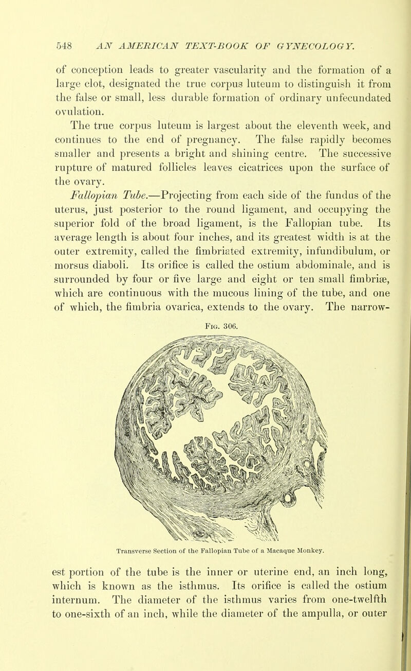 of conception leads to greater vascularity and the formation of a large clot, designated the true corpus luteum to distinguish it from the false or small, less durable formation of ordinary unfecundated ovulation. The true corpus luteum is largest about the eleventh week, and continues to the end of pregnancy. The false rapidly becomes smaller and presents a bright and shining centre. The successive rupture of matured follicles leaves cicatrices upon the surface of the ovary. Fallopian Tube.—Projecting from each side of the fundus of the uterus, just posterior to the round ligament, and occupying the superior fold of the broad ligament, is the Fallopian tube. Its average length is about four inches, and its greatest width is at the outer extremity, called the fimbriated extremity, infundibulum, or morsus diaboli. Its orifice is called the ostium abdominale, and is surrounded by four or five large and eight or ten small fimbriae, which are continuous with the mucous lining of the tube, and one of which, the fimbria ovarica, extends to the ovary. The narrow- Fig. 306. Transverse Section of the Fallopian Tube of a Macaque Monkey. est portion of the tube is the inner or uterine end, an inch long, which is known as the isthmus. Its orifice is called the ostium internum. The diameter of the isthmus varies from one-twelfth to one-sixth of an inch, while the diameter of the ampulla, or outer