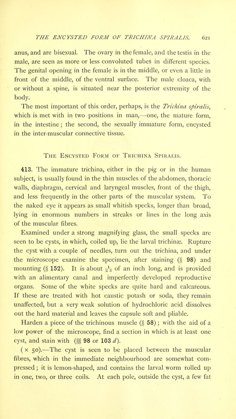 anus, and are bisexual. The ovary in the female, and the testis in the male, are seen as more or less convoluted tubes in different species. The genital opening in the female is in the middle, or even a little in front of the middle, of the ventral surface. The male cloaca, with or without a spine, is situated near the posterior extremity of the body. The most important of this order, perhaps, is the Trichina spiralis^ which is met with in two positions in man,—one, the mature form, in the intestine; the second, the sexually immature form, encysted in the inter-muscular connective tissue. The Encysted Form of Trichina Spiralis. 413. The immature trichina, either in the pig or in the human subject, is usually found in the thin muscles of the abdomen, thoracic walls, diaphragm, cervical and laryngeal muscles, front of the thigh, and less frequently in the other parts of the muscular system. To the naked eye it appears as small whitish specks, longer than broad, lying in enormous numbers in streaks or lines in the long axis of the muscular fibres. Examined under a strong magnifying glass, the small specks are seen to be cysts, in which, coiled up, lie the larval trichinae. Rupture the cyst with a couple of needles, turn out the trichina, and under the microscope examine the specimen, after staining (§ 98) and mounting (§ 152). It is about o-V of an inch long, and is provided with an alimentary canal and imperfectly developed reproductive organs. Some of the white specks are quite hard and calcareous. If these are treated with hot caustic potash or soda, they remain unaffected, but a very weak solution of hydrochloric acid dissolves out the hard material and leaves the capsule soft and phable. Harden a piece of the trichinous muscle (§ 58); with the aid of a low power of the microscope, find a section in which is at least one cyst, and stain with (§§ 98 or 103 d). ( X 50).—The cyst is seen to be placed between the muscular fibres, which in the immediate neighbourhood are somewhat com- pressed ; it is lemon-shaped, and contains the larval worm rolled up in one, two, or three coils. At each pole, outside the cyst, a few fat