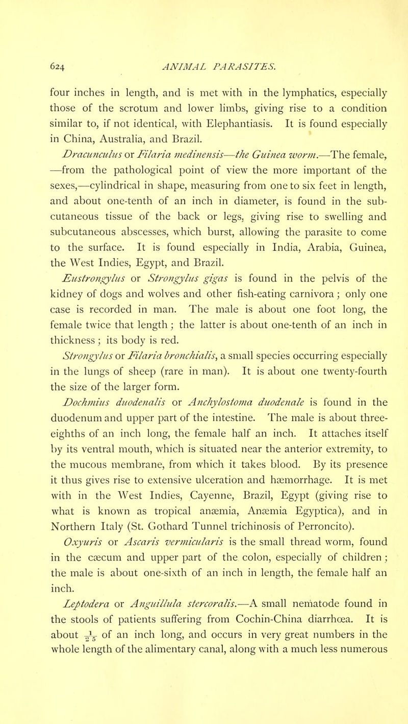 four inches in length, and is met with in the lymphatics, especially those of the scrotum and lower limbs, giving rise to a condition similar to, if not identical, with Elephantiasis. It is found especially in China, Australia, and Brazil. Dracunculus or Filaria jjtedinensis—the Guinea ivor?n.—The female, —from the pathological point of view the more important of the sexes,-—cylindrical in shape, measuring from one to six feet in length, and about one-tenth of an inch in diameter, is found in the sub- cutaneous tissue of the back or legs, giving rise to swelling and subcutaneous abscesses, which burst, allowing the parasite to come to the surface. It is found especially in India, Arabia, Guinea, the West Indies, Egypt, and Brazil. Eustrongylus or Strongyhis gigas is found in the pelvis of the kidney of dogs and wolves and other fish-eating carnivora; only one case is recorded in man. The male is about one foot long, the female twice that length; the latter is about one-tenth of an inch in thickness ; its body is red. Stro?igylus or Filaria bro7ichialis., a small species occurring especially in the lungs of sheep (rare in man). It is about one twenty-fourth the size of the larger form. Doch7nius diiodetialis or Aiichylostoina duodenale is found in the duodenum and upper part of the intestine. The male is about three- eighths of an inch long, the female half an inch. It attaches itself by its ventral mouth, which is situated near the anterior extremity, to the mucous membrane, from which it takes blood. By its presence it thus gives rise to extensive ulceration and haemorrhage. It is met with in the West Indies, Cayenne, Brazil, Egypt (giving rise to what is known as tropical anaemia, Ansemia Egyptica), and in Northern Italy (St. Gothard Tunnel trichinosis of Perroncito). Oxyuris or Ascaris vermicularis is the small thread worm, found in the caecum and upper part of the colon, especially of children ; the male is about one-sixth of an inch in length, the female half an inch. Leptodera or Anguillula stercoralis.—A small nematode found in the stools of patients suffering from Cochin-China diarrhoea. It is about 2^5 of inch, long, and occurs in very great numbers in the whole length of the alimentary canal, along with a much less numerous