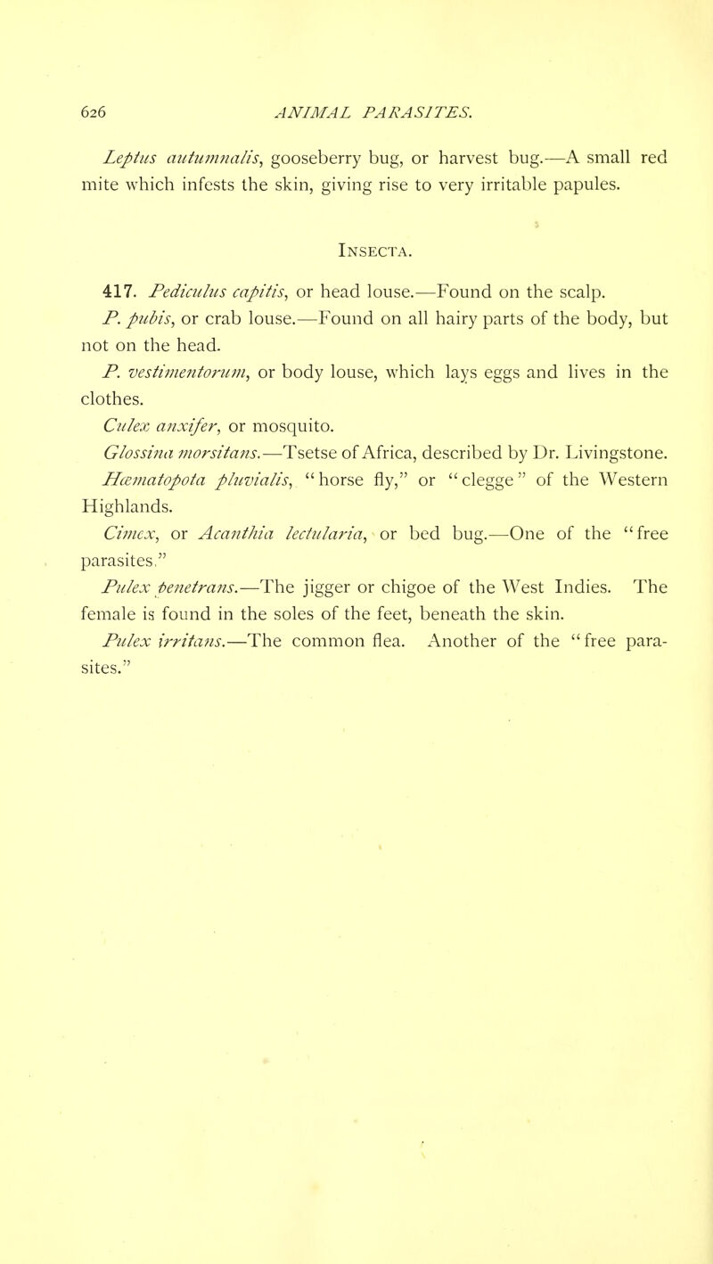 Leptiis autum7ialis^ gooseberry bug, or harvest bug.—A small red mite which infests the skin, giving rise to very irritable papules. Insecta. 417. Pediculus capitis^ or head louse.—Found on the scalp. P. pubis, or crab louse.—^Found on all hairy parts of the body, but not on the head. P. vestinientorufn, or body louse, which lays eggs and lives in the clothes. Culex a?ixifer, or mosquito. Glossina vwrsitatis.—Tsetse of Africa, described by Dr. Livingstone. HcEinatopota pluvialis, horse fly, or clegge of the Western Highlands. Cimex, or Acauthia lectularia, or bed bug.—One of the free parasites, Piilex penetrajis.—The jigger or chigoe of the West Indies. The female is found in the soles of the feet, beneath the skin. Pulex irrita?is.—The common flea. x\nother of the free para- sites.