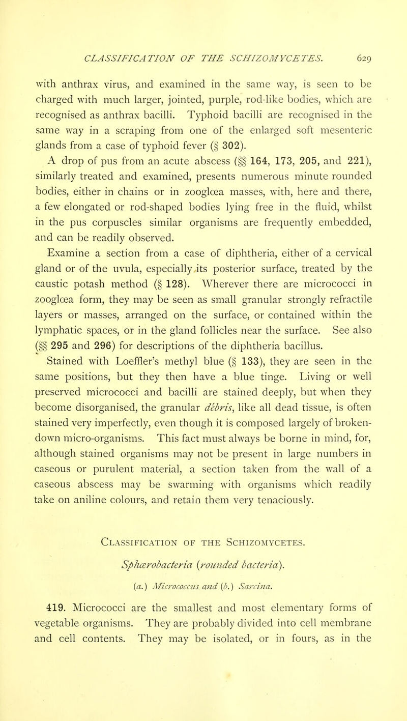 with anthrax virus, and examined in the same way, is seen to be charged with much larger, jointed, purple, rod-like bodies, which are recognised as anthrax bacilli. Typhoid bacilli are recognised in the same way in a scraping from one of the enlarged soft mesenteric glands from a case of typhoid fever (§ 302). A drop of pus from an acute abscess (§§ 164, 173, 205, and 221), similarly treated and examined, presents numerous minute rounded bodies, either in chains or in zoogloea masses, with, here and there, a few elongated or rod-shaped bodies lying free in the fluid, whilst in the pus corpuscles similar organisms are frequently embedded, and can be readily observed. Examine a section from a case of diphtheria, either of a cervical gland or of the uvula, especially its posterior surface, treated by the caustic potash method (§ 128). Wherever there are micrococci in zooglcea form, they may be seen as small granular strongly refractile layers or masses, arranged on the surface, or contained within the lymphatic spaces, or in the gland follicles near the surface. See also (§§ 295 and 296) for descriptions of the diphtheria bacillus. Stained with Loeffler's methyl blue (§ 133), they are seen in the same positions, but they then have a blue tinge. Living or well preserved micrococci and bacilli are stained deeply, but when they become disorganised, the granular debris^ like all dead tissue, is often stained very imperfectly, even though it is composed largely of broken- down micro-organisms. This fact must always be borne in mind, for, although stained organisms may not be present in large numbers in caseous or purulent material, a section taken from the wall of a caseous abscess may be swarming with organisms which readily take on aniline colours, and retain them very tenaciously. Classification of the Schizomycetes. Sphcerobacteria {rounded bacteria). {a.) iMicrococciis and {Ik ) Sarciiia. 419. Micrococci are the smallest and most elementary forms of vegetable organisms. They are probably divided into cell membrane and cell contents. They may be isolated, or in fours, as in the