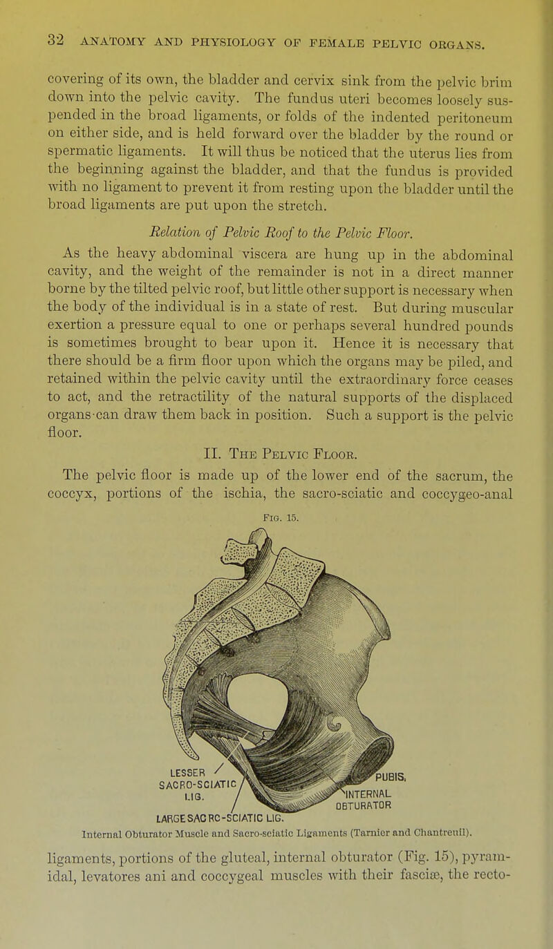 covering of its own, the bladder and cervix sink from the pelvic brim clown into the pelvic cavity. The fundus uteri becomes loosely sus- pended in the broad ligaments, or folds of the indented peritoneum on either side, and is held forward over the bladder by the round or spermatic ligaments. It will thus be noticed that the uterus lies from the beginning against the bladder, and that the fundus is provided with no ligament to prevent it from resting upon the bladder until the broad ligaments are put upon the stretch. Relation of Pelvic Roof to the Pelvic Floor. As the heavy abdominal viscera are hung up in the abdominal cavity, and the weight of the remainder is not in a direct manner borne by the tilted pelvic roof, but little other support is necessary when the body of the individual is in a state of rest. But during muscular exertion a pressure equal to one or perhaps several hundred pounds is sometimes brought to bear upon it. Hence it is necessary that there should be a firm floor upon which the organs may be piled, and retained within the pelvic cavity until the extraordinary force ceases to act, and the retractility of the natural supports of the displaced organs-can draw them back in position. Such a support is the pelvic floor. II. The Pelvic Floor. The pelvic floor is made up of the lower end of the sacrum, the coccyx, portions of the ischia, the sacro-sciatic and coccygeo-anal Fig. 15. LARGE SAC RC-SCIATIC LIG. Internal Obturator Muscle and Sacro-seiatic Ligaments (Tarnier and Chantreuil). ligaments, portions of the gluteal, internal obturator (Fig. 15), pyram- idal, levatores ani and coccygeal muscles with their fascia?, the recto-