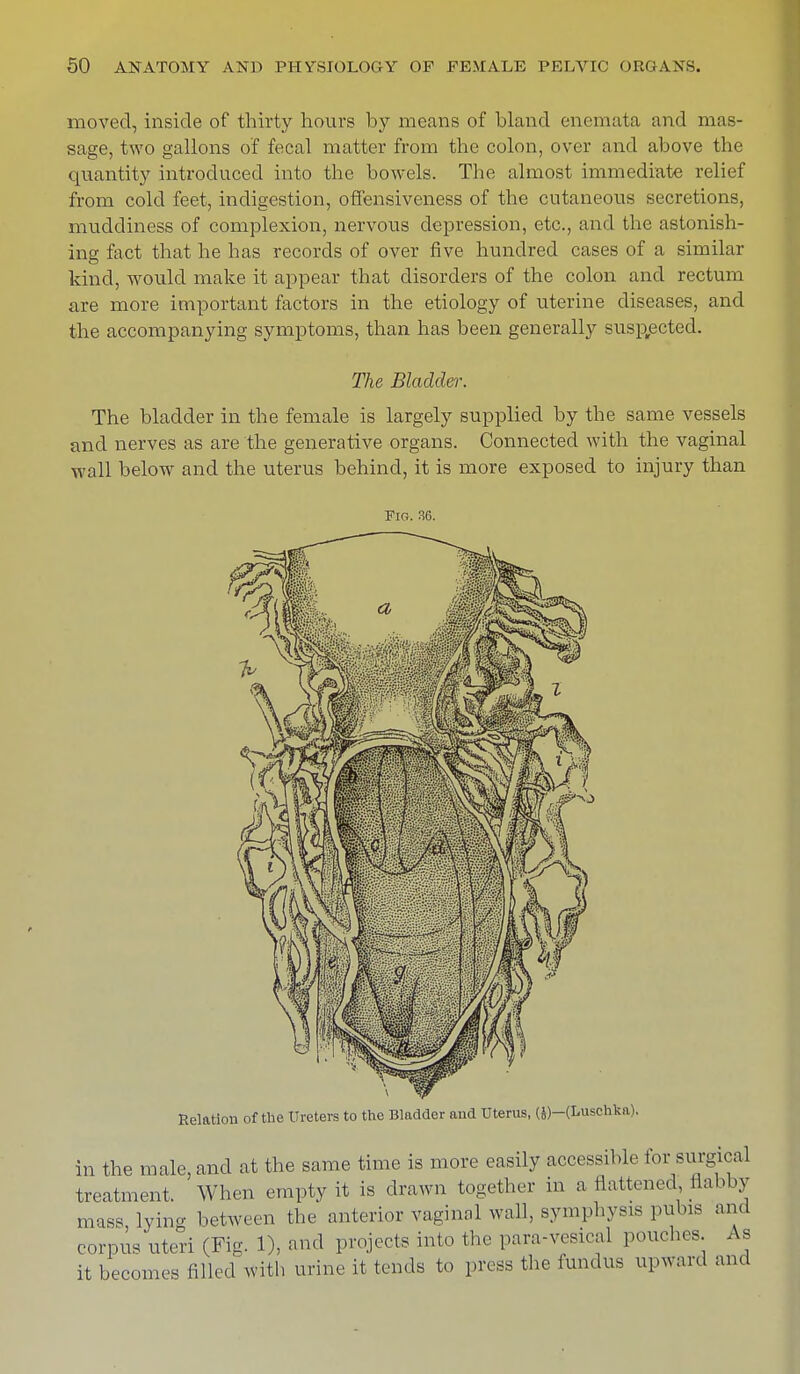 moved, inside of thirty hours by means of bland enemata and mas- sage, two gallons of fecal matter from the colon, over and above the quantity introduced into the bowels. The almost immediate relief from cold feet, indigestion, offensiveness of the cutaneous secretions, mudcliness of complexion, nervous depression, etc., and the astonish- ing fact that he has records of over five hundred cases of a similar kind, would make it appear that disorders of the colon and rectum are more important factors in the etiology of uterine diseases, and the accompanying symptoms, than has been generally suspected. The Bladder. The bladder in the female is largely supplied by the same vessels and nerves as are the generative organs. Connected with the vaginal wall below and the uterus behind, it is more exposed to injury than Fin. 36. Relation of the Ureters to the Bladder and Uterus, (J)-(Luschka). in the male, and at the same time is more easily accessible for surgical treatment. When empty it is drawn together in a Battened, flabby mass lying between the anterior vaginal wall, symphysis pubis and corpus uteri (Fig. 1), and projects into the para-vesical pouches. As it becomes filled with urine it tends to press the fundus upward and