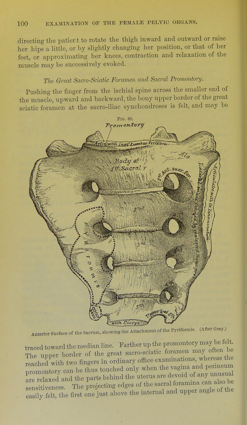 directing the patiert to rotate the thigh inward and outward or raise her hips a little, or by slightly changing her position, or that of her feet, or approximating her knees, contraction and relaxation of the muscle may be successively evoked. The Great Sacro-Sciatic Foramen and Sacral Promontory. Pushing the finger from the ischial spine across the smaller end of the muscle, upward and backward, the bony upper border of the great sciatic foramen at the sacro-iliac synchondroses is felt, and may be Fig. 60. Prom orutvrt/ Anterior Surface of the Sacrum, showing the Attachment of the Pyriformi, (After Gray.) traced toward the median line. Farther up the promontory may be felt The upper border of the great sacro-sciatic foramen may often be reached with two fingers in ordinary office examinations, whereas the prom nty can be thus touched only when the vagma and penneum areTelW and the parts behind the uterus are devoid of any unusual sens* veness The projecting edges of the sacral foramina can also be easOy felt he first one ust above the internal and upper angle of the
