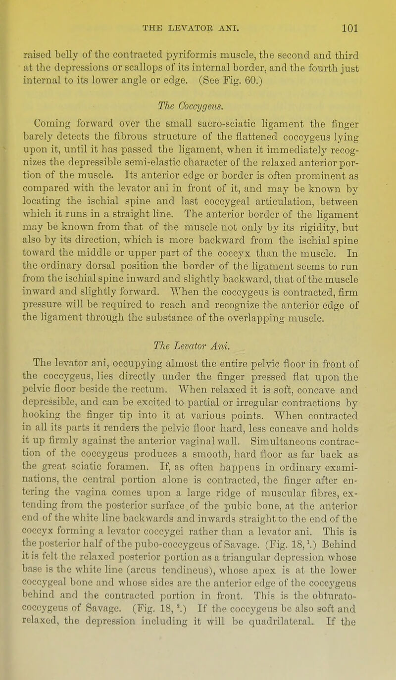 raised belly of the contracted pyriformis muscle, the second and third at the depressions or scallops of its internal border, and the fourth just internal to its lower angle or edge. (See Fig. 60.) The Coccygeus. Coming forward over the small sacro-sciatic ligament the finger barely detects the fibrous structure of the flattened coccygeus lying upon it, until it has passed the ligament, when it immediately recog- nizes the depressible semi-elastic character of the relaxed anterior por- tion of the muscle. Its anterior edge or border is often prominent as compared with the levator ani in front of it, and may be known by locating the ischial spine and last coccygeal articulation, between which it runs in a straight line. The anterior border of the ligament may be known from that of the muscle not only by its rigidity, but also by its direction, which is more backward from the ischial spine toward the middle or upper part of the coccyx than the muscle. In the ordinary dorsal position the border of the ligament seems to run from the ischial spine inward and slightly backward, that of the muscle inward and slightly forward. When the coccygeus is contracted, firm pressure will be required to reach and recognize the anterior edge of the ligament through the substance of the overlapping muscle. The Levator Ani. The levator ani, occupying almost the entire pelvic floor in front of the coccygeus, lies directly under the finger jDressecl flat upon the pelvic floor beside the rectum. When relaxed it is soft, concave and depressible, and can be excited to partial or irregular contractions by hooking the finger tip into it at various points. When contracted in all its parts it renders the pelvic floor hard, less concave and holds it up firmly against the anterior vaginal wall. Simultaneous contrac- tion of the coccygeus produces a smooth, hard floor as far back as the great sciatic foramen. If, as often happens in ordinary exami- nations, the central portion alone is contracted, the finger after en- tering the vagina comes upon a large ridge of muscular fibres, ex- tending from the posterior surface. of the pubic bone, at the anterior end of the white line backwards and inwards straight to the end of the coccyx forming a levator coccygei rather than a levator ani. This is the posterior half of the pubo-coccygeus of Savage. (Fig. 18, \) Behind it is felt the relaxed posterior portion as a triangular depression whose base is the white line (arcus tendinous), whose apex is at the lower coccygeal bone and whose sides arc the anterior edge of the coccygeus behind and the contracted portion in front. This is the obturato- coccygeus of Savage. (Fig. 18, J.) If the coccygeus be also soft and relaxed, the depression including it will be quadrilateral.. If the