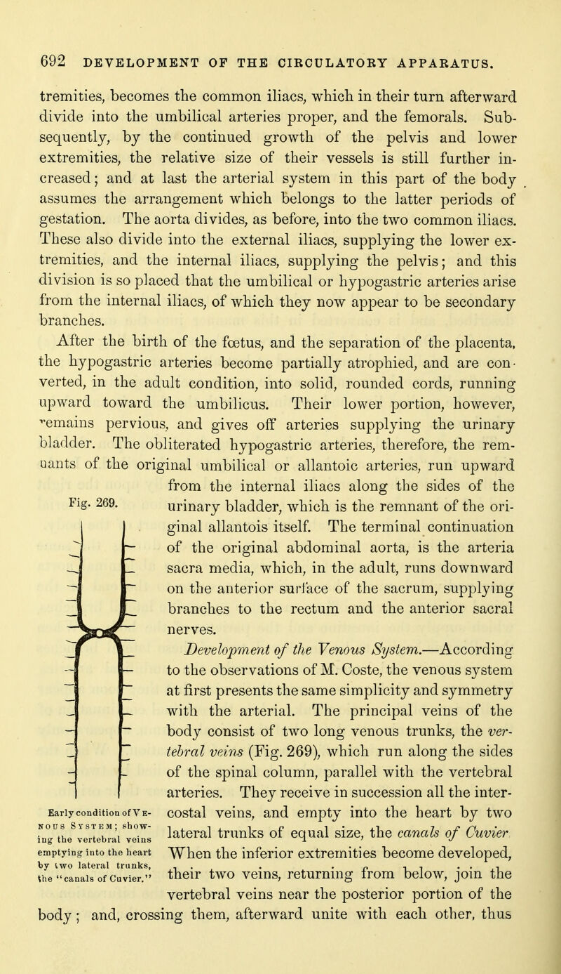 tremities, becomes the common iliacs, which in their turn afterward divide into the umbilical arteries proper, and the femorals. Sub- sequently, by the continued growth of the pelvis and lower extremities, the relative size of their vessels is still farther in- creased ; and at last the arterial system in this part of the body assumes the arrangement which belongs to the latter periods of gestation. The aorta divides, as before, into the two common iliacs. These also divide into the external iliacs, supplying the lower ex- tremities, and the internal iliacs, supplying the pelvis; and this division is so placed that the umbilical or hypogastric arteries arise from the internal iliacs, of which they now appear to be secondary branches. After the birth of the fcetus, and the separation of the placenta, the hypogastric arteries become partially atrophied, and are con- verted, in the adult condition, into solid, rounded cords, running upward toward the umbilicus. Their lower portion, however, remains pervious, and gives off arteries supplying the urinary bladder. The obliterated hypogastric arteries, therefore, the rem- nants of the original umbilical or allantoic arteries, run upward from the internal iliacs along the sides of the Fig. 269. urinary bladder, which is the remnant of the ori- I I ginal allantois itself. The terminal continuation of the original abdominal aorta, is the arteria sacra media, which, in the adult, runs downward on the anterior surface of the sacrum, supplying branches to the rectum and the anterior sacral nerves. Development of the Venous System.—According to the observations of M. Coste, the venous system at first presents the same simplicity and symmetry with the arterial. The principal veins of the body consist of two long venous trunks, the ver- tebral veins (Fig. 269), which run along the sides of the spinal column, parallel with the vertebral arteries. They receive in succession all the inter- costal veins, and empty into the heart by two lateral trunks of equal size, the canals of Cuvier When the inferior extremities become developed, their two veins, returning from below, join the vertebral veins near the posterior portion of the body ; and, crossing them, afterward unite with each other, thus Early condition of V E- Nous System; show- ing the vertebral veins emptying into the heart by two lateral trunks, the canals of Cuvier,
