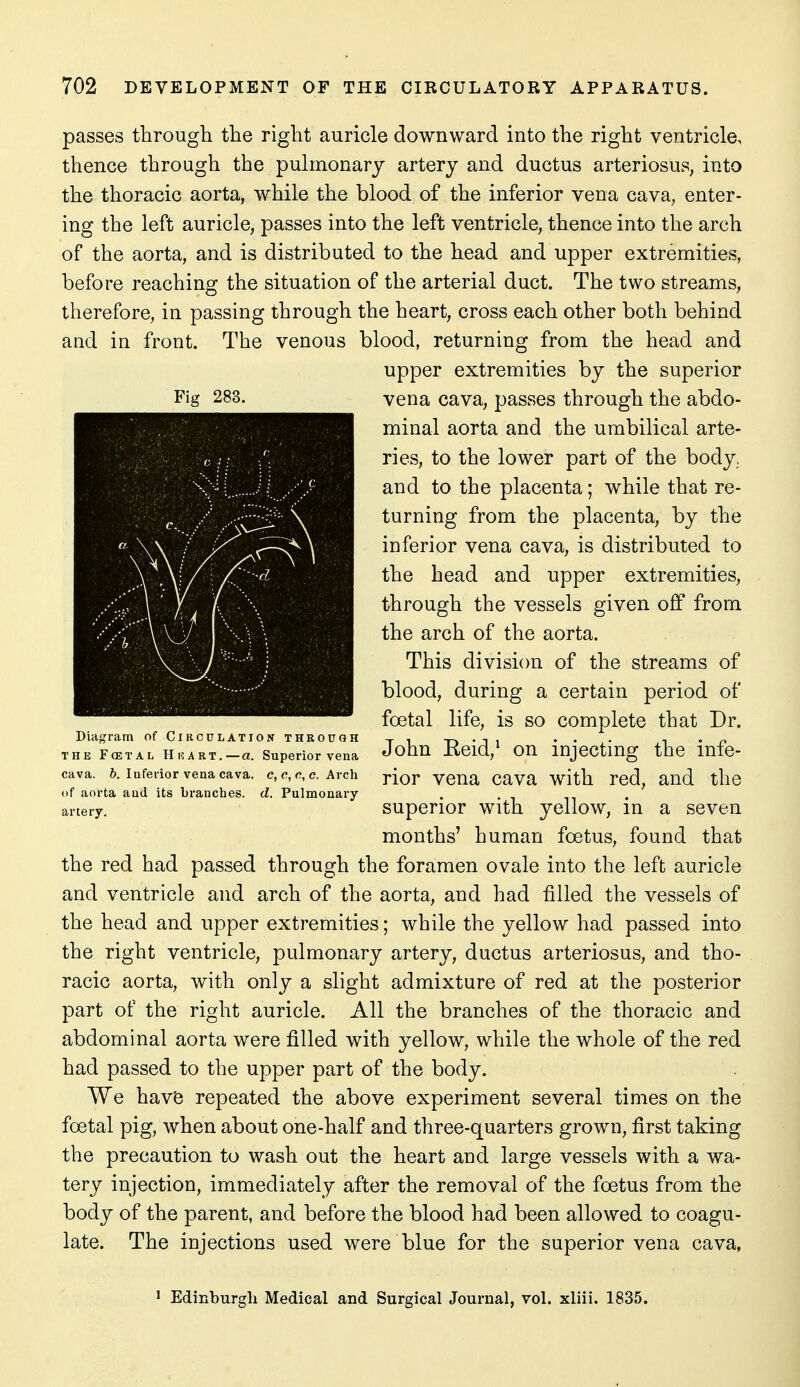 passes through the right auricle downward into the right ventricle, thence through the pulmonary artery and ductus arteriosus, into the thoracic aorta, while the blood of the inferior vena cava, enter- ing the left auricle, passes into the left ventricle, thence into the arch of the aorta, and is distributed to the head and upper extremities, before reaching the situation of the arterial duct. The two streams, therefore, in passing through the heart, cross each other both behind and in front. The venous blood, returning from the head and upper extremities by the superior vena cava, passes through the abdo- minal aorta and the umbilical arte- ries, to the lower part of the body, and to the placenta; while that re- turning from the placenta, by the inferior vena cava, is distributed to the head and upper extremities, through the vessels given off from the arch of the aorta. This division of the streams of blood, during a certain period of foetal life, is so complete that Dr. John Eeid,^ on injecting the infe- rior vena cava with red, and the superior with yellow, in a seven months' human foetus, found that the red had passed through the foramen ovale into the left auricle and ventricle and arch of the aorta, and had filled the vessels of the head and upper extremities; while the yellow had passed into the right ventricle, pulmonary artery, ductus arteriosus, and tho- racic aorta, with only a slight admixture of red at the posterior part of the right auricle. All the branches of the thoracic and abdominal aorta were filled with yellow, while the whole of the red had passed to the upper part of the body. We hav^ repeated the above experiment several times on the foetal pig, when about one-half and three-quarters grown, first taking the precaution to wash out the heart and large vessels with a wa- tery injection, immediately after the removal of the foetus from the body of the parent, and before the blood had been allowed to coagu- late. The injections used were blue for the superior vena cava, Diagram of Circulation through THE FcETAL HuART.—Q. Superior vena cava. 6. Inferior vena cava, c, o, r, c. Arch of aorta aud its branches, d. Pulmonary- artery. > Edinburgh Medical and Surgical Journal, vol. xliii. 1835.