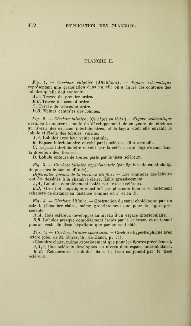 PLANCHE IL Fig. 1. — Cirrhose vulgaire (Annulaire). — Figure schématique représentant une granulation dans laquelle on a figuré les contours des lobules qu’elle doit contenir. A, A, Travée de premier ordre. B, B, Travée de second ordre. C, Travée de troisième ordre. D, D, Veines centrales des lobules. Fig. 2. — Cirrhose biliaire. [Cirrhose en îlots.')— Figure schématique destinée à montrer le mode de développement de ce genre de cirrhose au niveau des espaces interlobulaires, et la façon dont elle envahit le lobule et l’isole des lobules voisins. A, A, Lobules avec leur veine centrale. B, Espace interlobulaire envahi par la sclérose (îlot arrondi). C, Espace interlobulaire envahi par la sclérose qui déjà s’étend dans la direction des fissures. D, Lobule entouré de toutes parts par le tissu scléreux. Fig. 3. — Cirrhose biliaire expérimentale (par ligature du canal cholé- doque chez le cochon d’Inde). Différentes formes de la cirrhose du foie. — Les contours des lobules ont été dessinés à la chambre claire, faible grossissement. A, A, Lobules complètement isolés par le tissu scléreux. B, B, Gros îlot hépatique constitué par plusieurs lobules et fortement écbancré de distance en distance comme en C et en D. Fig. 4. — Cirrhose biliaire. — Obstruction du canal cholédoque par un calcul. (Chambre claire, même grossissement que pour la figure pré- cédente. A, A, Ilots scléreux développés au niveau d’un espace interlobulaire. B, B, Lobules presque complètement isolés par la sclérose, et ne tenant plus au reste du tissu hépatique que par un seul côté. Fig. 5. — Cirrhose biliaire spontanée. — Cirrhose hypertrophique avec ictère (obs. de M. Pitres, th. de Hanot, p. 35). (Chambre claire, même grossissement que pour les figures précédentes). A, A,A, Ilots scléreux développés au niveau d’un espace interlobulaire. B, B, Échancrures produites dans le tissu conjonctif par le tissu scléreux.