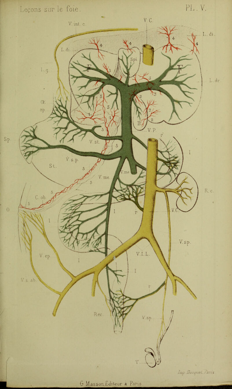 Sp. 0 ■ Leçons sur ie foie. . V. ■&V4S G. Mas son,Editeur a Pans.