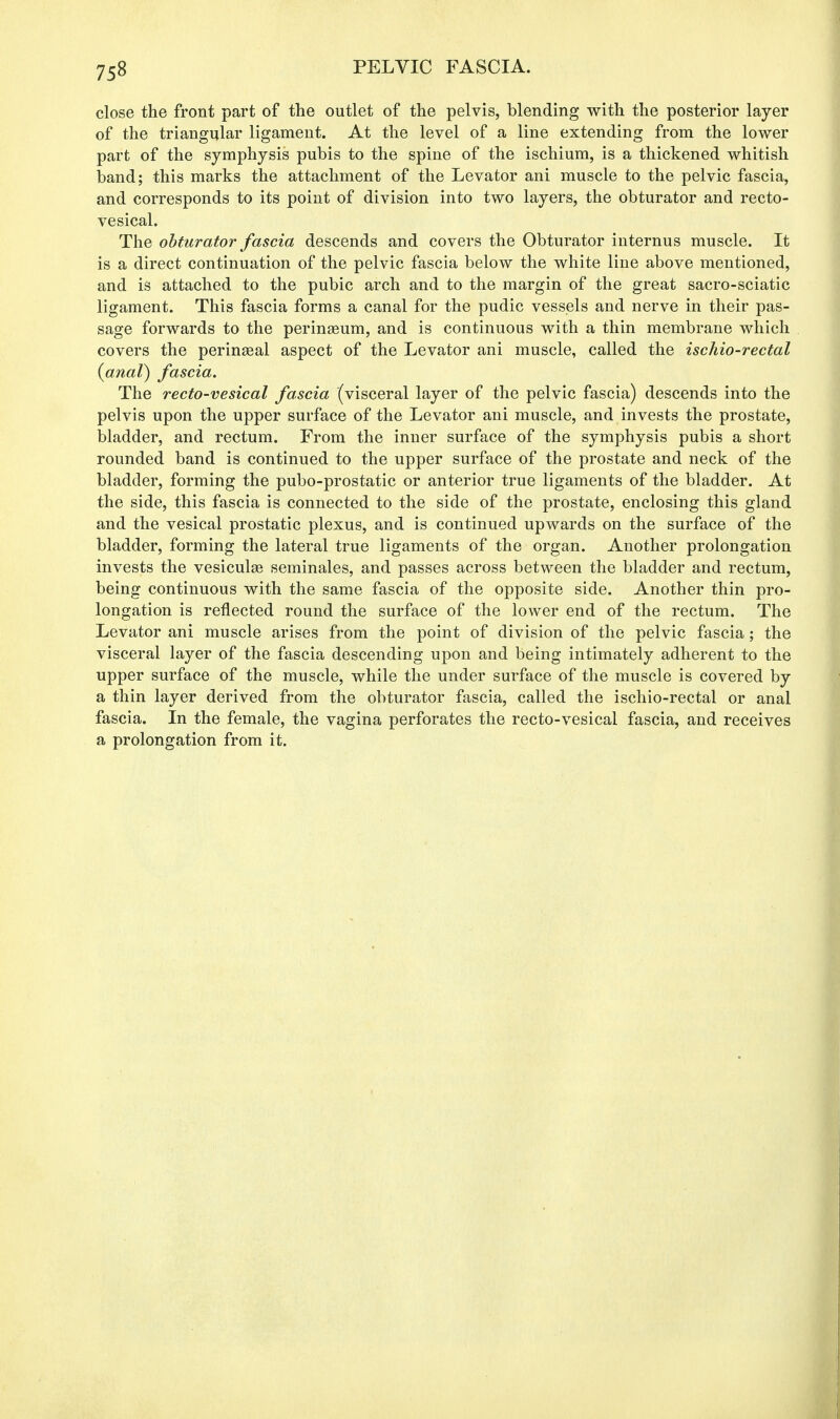 close the front part of the outlet of the pelvis, blending with the posterior layer of the triangular ligament. At the level of a line extending from the lower part of the symphysis pubis to the spine of the ischium, is a thickened whitish band; this marks the attachment of the Levator ani muscle to the pelvic fascia, and corresponds to its point of division into two layers, the obturator and recto- vesical. The obturator fascia descends and covers the Obturator internus muscle. It is a direct continuation of the pelvic fascia below the white line above mentioned, and is attached to the pubic arch and to the margin of the great sacro-sciatic ligament. This fascia forms a canal for the pudic vessels and nerve in their pas- sage forwards to the perinseum, and is continuous with a thin membrane which covers the perineal aspect of the Levator ani muscle, called the ischio-rectal {anal) fascia. The recto-vesical fascia (visceral layer of the pelvic fascia) descends into the pelvis upon the upper surface of the Levator ani muscle, and invests the prostate, bladder, and rectum. From the inner surface of the symphysis pubis a short rounded band is continued to the upper surface of the prostate and neck of the bladder, forming the pubo-prostatic or anterior true ligaments of the bladder. At the side, this fascia is connected to the side of the prostate, enclosing this gland and the vesical prostatic plexus, and is continued upwards on the surface of the bladder, forming the lateral true ligaments of the organ. Another prolongation invests the vesicular seminales, and passes across between the bladder and rectum, being continuous with the same fascia of the opposite side. Another thin pro- longation is reflected round the surface of the lower end of the rectum. The Levator ani muscle arises from the point of division of the pelvic fascia; the visceral layer of the fascia descending upon and being intimately adherent to the upper surface of the muscle, while the under surface of the muscle is covered by a thin layer derived from the obturator fascia, called the ischio-rectal or anal fascia. In the female, the vagina perforates the recto-vesical fascia, and receives a prolongation from it.