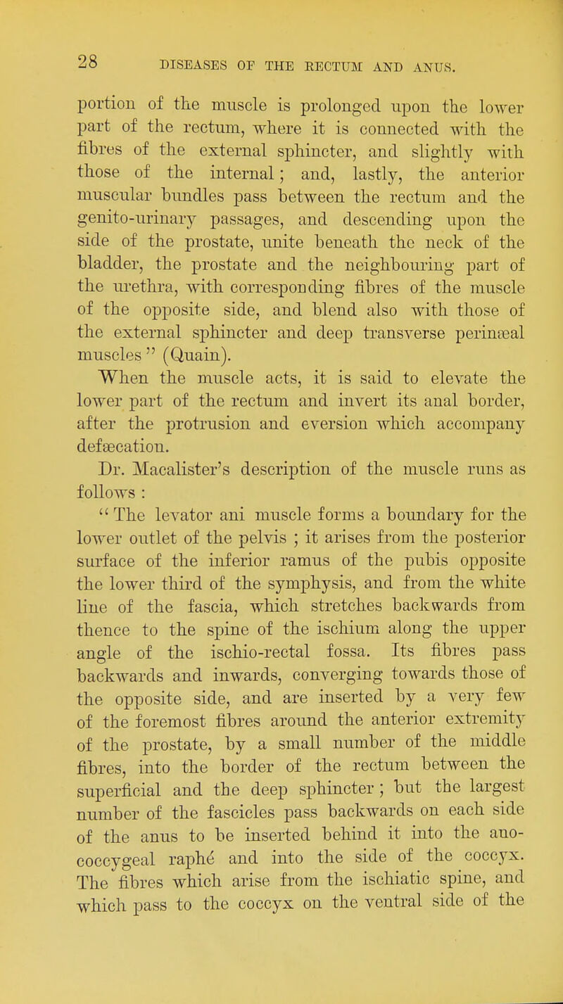 portion of the muscle is prolonged upon the lower part of the rectum, where it is connected with the fibres of the external sphincter, and slightly with those of the internal; and, lastly, the anterior muscular bundles pass between the rectum and the genito-urinary passages, and descending upon the side of the prostate, unite beneath the neck of the bladder, the prostate and the neighbouring part of the ui-ethra, with corresponding fibres of the muscle of the opposite side, and blend also with those of the external sphincter and deep transverse perinasal muscles  (Quain). When the muscle acts, it is said to elevate the lower part of the rectum and invert its anal border, after the protrusion and eversion which accompany defsecation. Dr. Macalister's description of the muscle runs as follows :  The levator ani muscle forms a boundary for the lower outlet of the pelvis ; it arises froDi the posterior surface of the inferior ramus of the pubis opposite the lower third of the symphysis, and from the white line of the fascia, which stretches backwards from thence to the spine of the ischium along the upper angle of the ischio-rectal fossa. Its fibres pass backwards and inwards, converging towards those of the opposite side, and are inserted by a very few of the foremost fibres around the anterior extremity of the prostate, by a small number of the middle fibres, into the border of the rectum between the superficial and the deep sphincter ; but the largest number of the fascicles pass backwards on each side of the anus to be inserted behind it into the ano- coccygeal raphe and into the side of the coccyx. The fibres which arise from the ischiatic spine, and which pass to the coccyx on the ventral side of the