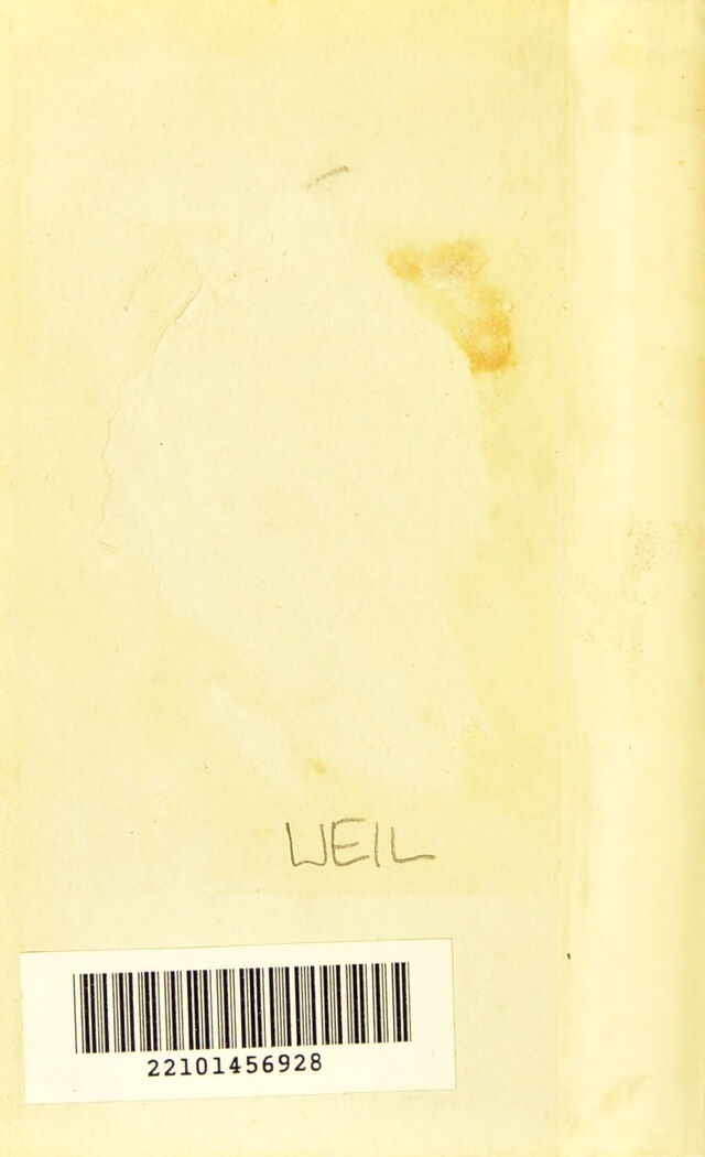 digitised image 2
