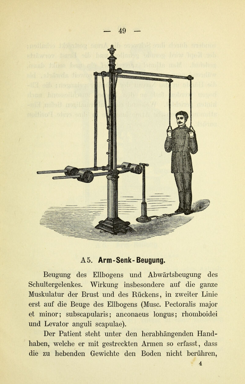 A5. Arm-Senk-Beugung. Beugung des Ellbogens und Abwärtsbeugung des Schultergelenkes. Wirkung insbesondere auf die ganze Muskulatur der Brust und des Rückens, in zweiter Linie erst auf die Beuge des Ellbogens (Muse. Pectoralis major et minor; subscapularis; anconaeus longus; rhomboidei und Levator anguli scapulae). Der Patient steht unter den herabhängenden Hand- haben, welche er mit gestreckten Armen so erfasst, dass die zu hebenden Gewichte den Boden nicht berühren, 4
