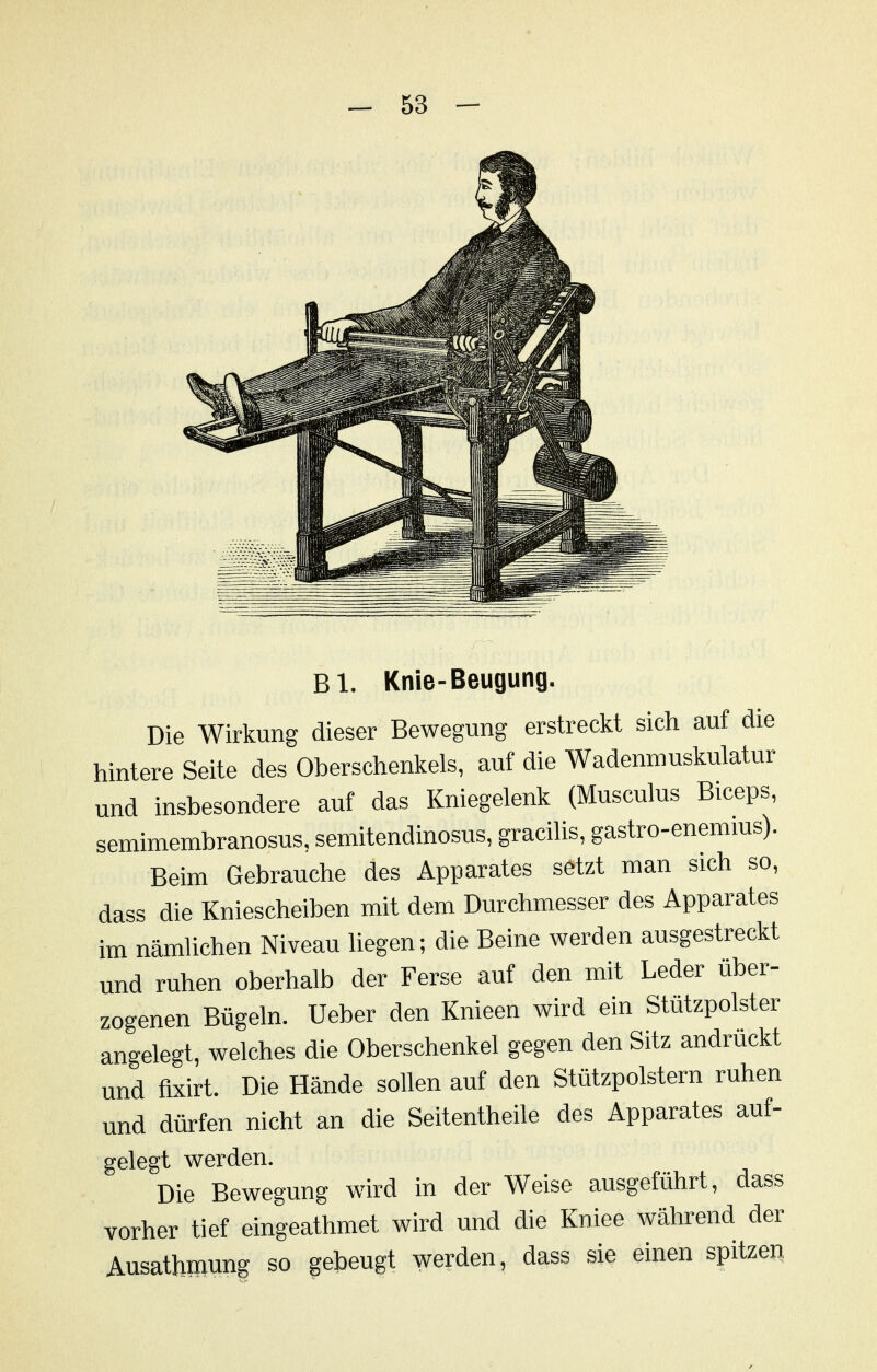 Bl. Knie-Beugung. Die Wirkung dieser Bewegung erstreckt sich auf die hintere Seite des Oberschenkels, auf die Wadenmuskulatur und insbesondere auf das Kniegelenk (Musculus Biceps, semimembranosus. semitendinosus, gracilis, gastro-enemms). Beim Gebrauche des Apparates setzt man sich so, dass die Kniescheiben mit dem Durchmesser des Apparates im nämlichen Niveau liegen; die Beine werden ausgestreckt und ruhen oberhalb der Ferse auf den mit Leder über- zogenen Bügeln. Ueber den Knieen wird ein Stützpolster angelegt, welches die Oberschenkel gegen den Sitz andrückt und fixirt. Die Hände sollen auf den Stützpolstern ruhen und dürfen nicht an die Seitentheile des Apparates auf- gelegt werden. Die Bewegung wird in der Weise ausgeführt, dass vorher tief eingeathmet wird und die Kniee während der Ausathmung so gebeugt werden, dass sie einen spitzen