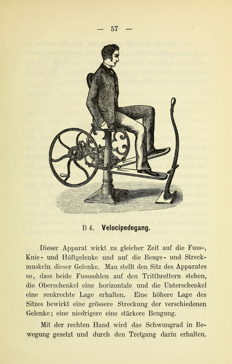 B 4. Velocipedegang. Dieser Apparat wirkt zu gleicher Zeit auf die Fuss-, Knie- und Hüftgelenke und auf die Beuge- und Streck- muskeln dieser Gelenke. Man stellt den Sitz des Apparates so, dass beide Fusssohlen auf den Trittbrettern stehen, die Oberschenkel eine horizontale und die Unterschenkel eine senkrechte Lage erhalten. Eine höhere Lage des Sitzes bewirkt eine grössere Streckung der verschiedenen Gelenke; eine niedrigere eine stärkere Beugung. Mit der rechten Hand wird das Schwungrad in Be- wegung gesetzt und durch den Tretgang darin erhalten,