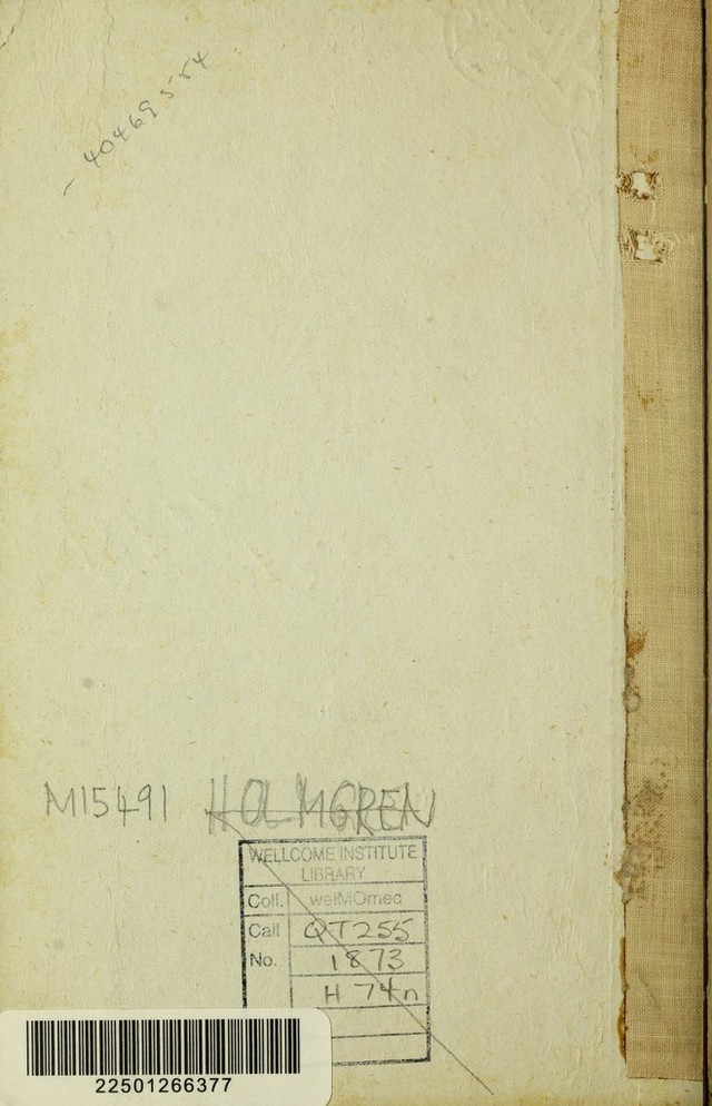 digitised image 2