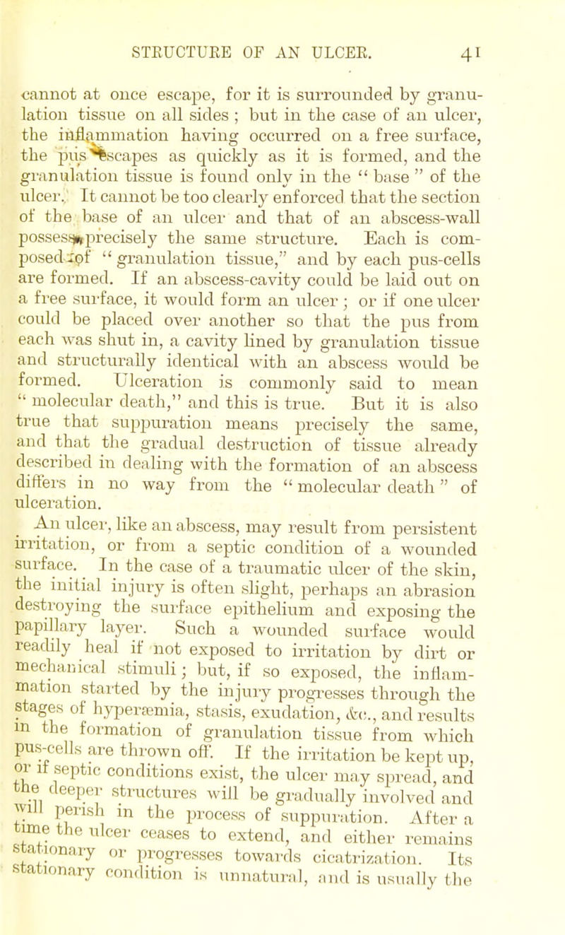 cannot at once escape, for it is surrounded by granu- lation tissue on all sides ; but in the case of an ulcer, the inflammation having occurred on a free surface, the 23US'*%scapes as quickly as it is formed, and the granulation tissue is found only in the  base  of the ulcer.. It cannot be too clearly enforced that the section of the base of an ulcei- and that of an abscess-wall posses.sjuprecisely the same structure. Each is com- posed ::pf granulation tissue, and by each pus-cells are formed. If an abscess-cavity could be laid out on a free surface, it would form an ulcer ; or if one ulcer could be placed over another so that the pus from each was shut in, a cavity lined by granulation tissue and structurally identical with an abscess would be formed. Ulceration is commonly said to mean  molecular death, and this is true. But it is also true that suppuration means precisely the same, and that the gradual destruction of tissue already described in dealing with the formation of an abscess differs in no way from the  molecular death of ulceration. An ulcer, like an abscess, may result from persistent n-ritation, or from a septic condition of a wounded surface. In the case of a traumatic ulcer of the skin, the initial injury is often sUght, perhaps an abrasion destroying the surface epithehum and exposing the papillary layer. Such a wounded surface would reacUly heal if not exposed to irritation by dirt or mechanical stimuli; but, if so exposed, the inflam- mation started by the injury progi^esses through the stages of hyperc-emia, .stasis, exudation, etc;., and results m the formation of granulation tissue from which pus-cells are thrown ofl^. If the irritation be kept up, or It septic conditions exist, the ulcer may spread, and the deeper sti'uctures will be gradually involved and will perish m the process of suppuration. After a time the ulcer ceases to extend, and either remains stationary or progresses towards cicatrization. Its stationary condition is unnatural, and is usually the