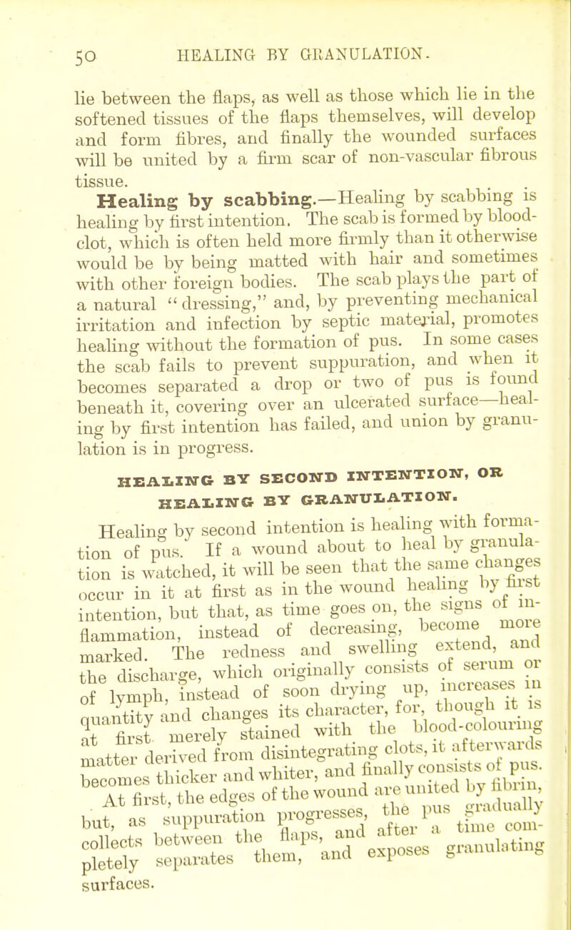 HEALING BY GllANULATION- lie between the flaps, as well as those which lie in the softened tissues of the flaps themselves, will develop and form flbres, and finally the wounded surfaces will be united by a firm scar of non-vascular fibrous fclSSUG Healing by scabbing.—HeaUng by scabbing is healing by first intention. The scab is formed by blood- clot, which is often held more firmly than it otherwise would be by being matted with hair and sometimes with other foreign bodies. The scab plays the part of a natural  dressing, and, by preventing mechanical irritation and infection by septic matej'ial, promotes healing without the formation of pus. In some cases the scab fails to prevent suppuration, and when it becomes separated a drop or two of pus is found beneath it, covering over an ulcerated surface—heal- ing by first intention has faHed, and union by granu- lation is in progress. HEAIITTG BY SECOND USTTEWTIOTT, OR HEAI.II«rG BY GRATTULATIOXr. Healing by second intention is healing with forma- tion of pus. If a wound about to heal by granula- tion is watched, it will be seen that the same changes occur in it at first as in the wound healing by^ fi^st intention, but that, as time goes on, the sign, of i > flammation, instead of decreasing, l^^^o^^e moie marked The redness and swelling extend, and tT discharge, which originally consists of serum or of lymph, instead of soon drying - nuantitv and changes its character, for though it is ar first merely stained with the blood-colourmg mattei deHved from disintegrating clots, it afterwards betmes t Ser and whiter, Anally consis s of pus- 'It first, the edges of the wound are united by fi i^^^ but, as suppuration F-^^^J ^ thne con^ collects between the ^''^f J^'^,,, granulating pletely separates them, and expube. » surfaces.