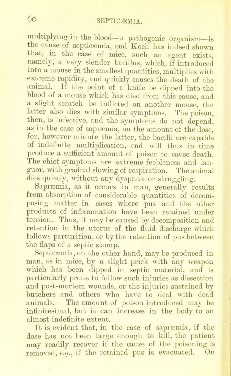 multiplying in the blood— a pathogenic organism—is the cause of septicemia, and Koch has indeed shown that, in the case of mice, such an agent exists, namely, a very slender bacillus, which, if introduced into a mouse in the smallest quantities, multiphes with extreme rapidity, aiid quickly causes the death of the animal. If the point of a knife be dipped into the blood of a mouse which has died from this cause, and a shght scratch be inflicted on another mouse, the latter also dies with similar symptoms. The poison, then, is infective, and the symptoms do not depend, as in the case of saprsemia, on the amount of the dose, for,^ however minute the latter, the bacilh are capable of indefinite multiplication, and will thus in time produce a suiiicient amount of poison to cause death. The chief symptoms are extreme feebleness and lan- guor, with gi-adual slowing of respiration. The animal dies quietly, without any dyspnoea or struggling. Saprsemia, as it occurs in man, genei'ally results fi'om absorption of considerable quantities of decom- posing matter in cases where pus and the other products of inflammation have been retained under tension. Thus, it may be caused by decomposition and retention in the uterus of the fluid discharge which follows parturition, or by the retention of pus between the flaps of a septic stump. Septicaemia, on the other hand, may be produced in man, as in mice, by a slight prick with any weapon which has been dipped in septic material, and is particularly prone to follow such injuries as dissection and post-mortem wounds, or the injuries sustained by butchers and others who have to deal with dead animals. The amount of poison introduced may be infinitesimal, but it can increase in the body to an almost indefinite extent. It is evident that, in the case of sapra^mia, if the dose has not been large enough to kill, the patient may readily recover if the cause of the poisoning is removed, e.g., if the retained pus is evacuated. On