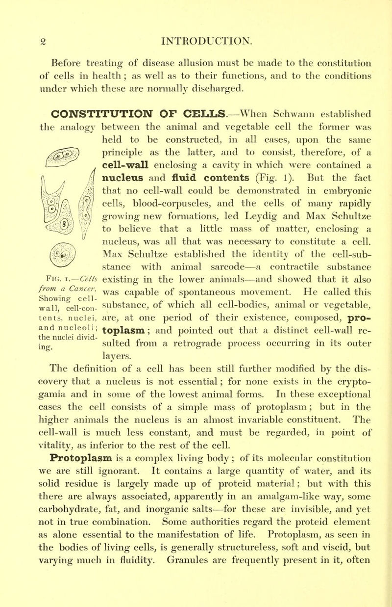 Before treating of disease allusion must be made to the constitution of cells in health ; as well as to their functions^ and to the conditions under which these are normall}^ discharged. CONSTITUTION OF CELLS.—When Schwann estabHshed the analogy between the animal and vegetable cell the former was held to be constructed, in all cases, upon the same principle as the latter, and to consist, therefore, of a cell-'Wall enclosing a cavity in which were contained a nucleus and fluid contents (Fig. 1). But the fact that no cell-wall could be demonstrated in embryonic cells, blood-corpuscles, and the cells of many rapidly growing new formations, led Leydig and Max Schultze to believe that a little mass of matter, enclosing a nucleus, was all that was necessary to constitute a cell. Max Schultze established the identity of the cell-sub- stance with animal sarcode—a contractile substance Fig. 1—Cells existing in the lower animals—and showed that it also from a Cancer. capable of spontaneous movement. He called this Showing cell- p i . i n n i t . i 11 wall cell-con- substance, or winch all celi-bodies, annual or vegetable, tents, nuclei, are, at one period of their existence, composed, pro- and nucleoli; toplasm; and pointed out that a distinct cell-wall re- the nuclei divid- tip t .... jjjg suited irom a retrograde process occurring m its outer layers. The definition of a cell has been still further modified by the dis- covery that a nucleus is not essential; for none exists in the crypto- gamia and in some of the lowest animal forms. In these exceptional cases the cell consists of a simple mass of protoplasm ; but in the higher animals the nucleus is an almost invariable constituent. The cell-wall is much less constant, and must be regarded, in point of vitality, as inferior to the rest of the cell. Protoplasm is a complex living body; of its molecular constitution we are still ignorant. It contains a large quantity of water, and its solid residue is largely made up of proteid material: but with this there are always associated, apparently in an amalgam-like waj^, some carbohydrate, fat, and inorganic salts—for these are invisible, and yet not in true combination. Some authorities regard the proteid element as alone essential to the manifestation of life. Protoplasm, as seen in the bodies of living cells, is generally structureless, soft and viscid, but varying much in fluidity. Granules are frequently present in it, often