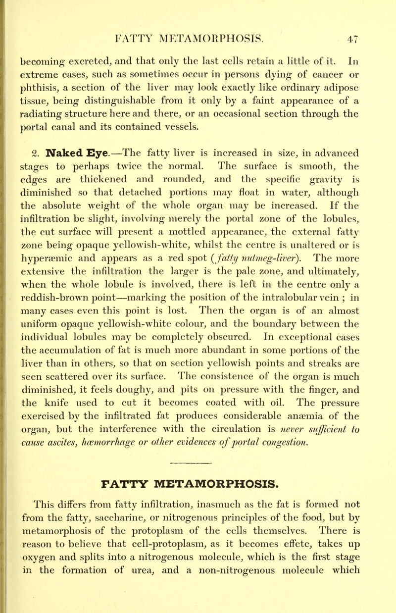 becoming excreted^, and that only the last cells retain a little of it. In extreme cases, such as sometimes occur in persons dying of cancer or phthisis, a section of the liver may look exactly like ordinary adipose tissue, being distinguishable from it only by a faint appearance of a radiating structure here and there, or an occasional section through the portal canal and its contained vessels. 2. Naked Eye.—The fatty liver is increased in size, in advanced stages to perhaps twice the normal. The surface is smooth, the edges are thickened and rounded, and the specific gravity is diminished so that detached portions may float in water, although the absolute weight of the whole organ may be increased. If the infiltration be slight, involving merely the portal zone of the lobules, the cut surface will present a mottled appearance, the external fatty zone being opaque yellow ish-white, whilst the centre is unaltered or is hyperaemic and appears as a red spot {fatty nutmeg-liver). The more extensive the infiltration the larger is the pale zone, and ultimately, when the whole lobule is involved, there is left in the centre only a reddish-brown point—marking the position of the intralobular vein ; in many cases even this point is lost. Then the organ is of an almost uniform opaque yellowish-white colour, and the boundary between the individual lobules may be completely obscured. In exceptional cases the accumulation of fat is much more abundant in some portions of the liver than in others, so that on section yellowish points and streaks are seen scattered over its surface. The consistence of the organ is much diminished, it feels doughy, and pits on pressure with the finger, and the knife used to cut it becomes coated with oil. The pressure exercised by the infiltrated fat produces considerable anaemia of the organ, but the interference with the circulation is never sufficient to cause ascites, hemorrhage or other evidences of portal congestion. FATTY METAMORPHOSIS. This differs from fatty infiltration, inasmuch as the fat is formed not from the fatty, saccharine, or nitrogenous principles of the food, but by metamorphosis of the protoplasm of the cells themselves. There is reason to believe that cell-protoplasm, as it becomes effete, takes up oxygen and splits into a nitrogenous molecule, which is the first stage in the formation of urea, and a non-nitrogenous molecule which