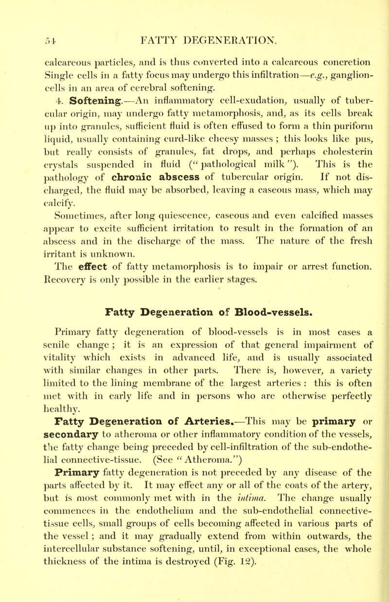 calcareous particles^ and is thus converted into a calcareous concretion Single cells in a fatty focus may undergo this infiltration—e.g.^ ganglion- cells in an area of cerebral softening. 4. Softening.—An inflammatory cell-exudation^, usually of tuber- cular origin^ may undergo fatty metamorphosis^ and, as its cells break up into granules, sufficient fluid is often effused to form a thin puriform liquid, usually containing curd-like cheesy masses ; this looks like pus, but really consists of granules, fat drops, and perhaps cholesterin crystals suspended in fluid pathological milkThis is the pathology of chronic abscess of tubercular origin. If not dis- charged, the fluid may be absorbed, leaving a caseous mass, which may calcify. Sometimes, after long quiescence, caseous and even calcified masses appear to excite sufficient irritation to result in the formation of an abscess and in the discharge of the mass. The nature of the fresh irritant is unknown. The effect of fatty metamorphosis is to impair or arrest function. Recovery is only possible in the earlier stages. Fatty Degeneration of Blood-vessels. Primary fatty degeneration of blood-vessels is in most cases a senile change ; it is an expression of that general impairment of vitality which exists in advanced life, and is usually associated with similar changes in other parts. There is, however, a variety limited to the lining membrane of the largest arteries : this is often met with in early life and in persons who are otherwise perfectly healthy. Fatty Degeneration of Arteries.—This may be primary or secondary to atheroma or other inflammatory condition of the vessels, the fatty change being preceded by cell-infiltration of the sub-endothe- lial connective-tissue. (See '^'^ Atheroma.) Primary fatty degeneration is not preceded by any disease of the parts affected by it. It may effect any or all of the coats of the artery, but is most commonly met with in the intima. The change usually commences in the endothelium and the sub-endothelial connective- tissue cells, small groups of cells becoming affected in various parts of the vessel ; and it may gradually extend from within outwards, the intercellular substance softening, until, in exceptional cases, the whole thickness of the intima is destroyed (Fig. 12).