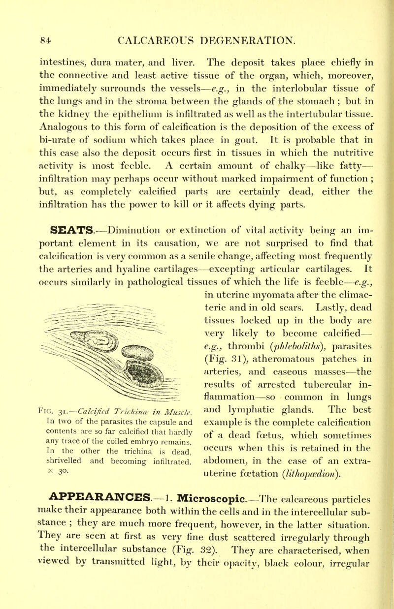 intestines, dura mater, and liver. The deposit takes place chiefly in the connective and least active tissue of the organ, which, moreover, immediately surrounds the vessels—e.g., in the interlobular tissue of the lungs and in the stroma between the glands of the stomach ; but in the kidney the epithelium is infiltrated as well as the intertubular tissue. Analogous to this form of calcification is the deposition of the excess of bi-urate of sodium which takes place in gout. It is probable that in this case also the deposit occurs first in tissues in which the nutritive activity is most feeble. A certain amount of chalky—like fatty— infiltration may perhaps occur without marked impairment of function ; but, as completely calcified parts are certainly dead, either the infiltration has the power to kill or it affects dying parts. SEATS.-—Diminution or extinction of vital activity being an im- portant element in its causation, we are not surprised to find that calcification is very common as a senile change, affecting most frequently the arteries and hyaline cartilages—excepting articular cartilages. It occurs similarly in pathological tissues of which the life is feeble—e.g., in uterine myomata after the climac- teric and in old scars. Lastly, dead tissues locked up in the body are very likely to become calcified— e.g., thrombi {phleholith.s), parasites (Fig. 31), atheromatous patches in arteries, and caseous masses—the results of arrested tubercular in- flammation—so common in lungs and lymphatic glands. The best example is the complete calcification of a dead foetus, which sometimes occurs when this is retained in the abdomen, in the case of an extra- uterine fcetation (Jithopcedion). APPEARANCES.—L Microscopic—The calcar eous particles make their appearance both within the cells and in the intercellular sub- stance ; they are much more frequent, however, in the latter situation. They are seen at first as very fine dust scattered irregularly through the intercellular substance (Fig. 32). They are characterised, when viewed by transmitted light, by their opacity-, black colour, irregular Fig. yi.— Calcified Trichina' in Muscle. In two of the parasites the capsule and contents are so far calcified that hardly any trace of the coiled embryo remains. In the other the trichina is dead, shrivelled and becoming infiltrated. X 30.