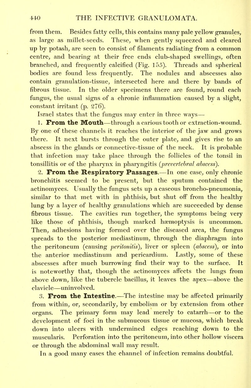 from them. Besides fatty cells, this contains many pale yellow granules, as large as millet-seeds. These, when gently squeezed and cleared up by potash, are seen to consist of filaments radiating from a common centre, and bearing at their free ends club-shaped swellings, often branched, and frequently calcified (Fig. 155). Threads and spherical bodies are found less frequently. The nodules and abscesses also contain granulation-tissue, intersected here and there by bands of fibrous tissue. In the older specimens there are found, round each fungus, the usual signs of a chronic inflammation caused by a slight, constant irritant (p. 276). Israel states that the fungus may enter in three ways— 1. From the Mouth—through a carious tooth or extraction-wound. By one of these channels it reaches the interior of the jaw and grows there. It next bursts through the outer plate, and gives rise to an abscess in the glands or connective-tissue of the neck. It is probable that infection may take place through the follicles of the tonsil in tonsillitis or of the pharynx in pharyngitis (^prevertebral abscess). 2. From the Respiratory Passages.—In one case, only chronic bronchitis seemed to be present, but the sputum contained the actinomyces. Usually the fungus sets up a caseous broncho-pneumonia, similar to that met with in phthisis, but shut off from the healthy lung by a layer of healthy granulations which are succeeded by dense fibrous tissue. The cavities run together, the symptoms being very like those of phthisis, though marked haemoptysis is uncommon. Then, adhesions having formed over the diseased area, the fungus spreads to the posterior mediastinum, through the diaphragm into the peritoneum (causing j)erito?iitis), liver or spleen (abscess), or into the anterior mediastinum and pericardium. Lastly, some of these abscesses after much burrowing find their way to the surface. It is noteworthy that, though the actinomyces affects the lungs from above down, like the tubercle bacillus, it leaves the apex—above the clavicle—uninvolved. 3. From the Intestine.—The intestine may be affected primarily from within, or, secondarily, by embolism or by extension from other organs. The primary form may lead merely to catarrh—or to the development of foci in the submucous tissue or mucosa, which break down into ulcers with undermined edges reaching down to the muscularis. Perforation into the peritoneum, into other hollow viscera or through the abdominal wall may result. In a good many cases the channel of infection remains doubtful.