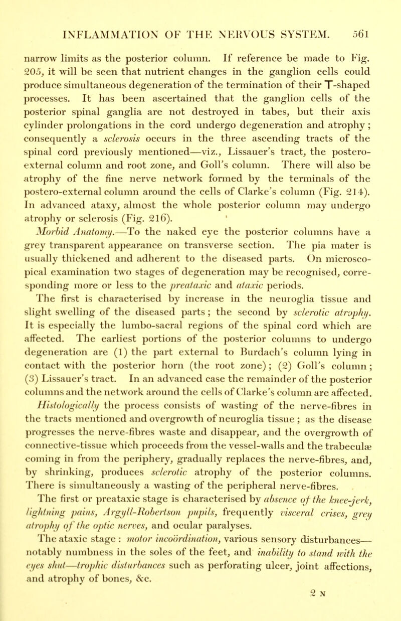 narrow limits as the posterior column. If reference be made to Fig. 205, it will be seen that nutrient changes in the ganglion cells could produce simultaneous degeneration of the termination of their T-shaped processes. It has been ascertained that the ganglion cells of the posterior spinal ganglia are not destroyed in tabes, but their axis cylinder prolongations in the cord undergo degeneration and atrophy; conse(][uently a sclerosis occurs in the three ascending tracts of the spinal cord previously mentioned—viz., Lissauer's tract, the postero- external column and root zone, and Goll's column. There will also be atrophy of the fine nerve network formed by the terminals of the postero-extemal column around the cells of Clarke's column (Fig. 214). In advanced ataxy, almost the whole posterior column may undergo atrophy or sclerosis (Fig. 21()). Morbid Amitowi/.—To the naked eye the posterior columns have a grey transparent appearance on transverse section. The pia mater is usually thickened and adherent to the diseased parts. On microsco- pical examination two stages of degeneration may be recognised, corre- sponding more or less to the preatadic and (itaxic periods. The first is characterised by increase in the neuroglia tissue and slight swelling of the diseased parts ; the second by sclerotic atrjpliif. It is esj)ecially the lumbo-sacral regions of the spinal cord which are affected. The earliest portions of the posterior columns to undergo degeneration are (1) the part external to Burdach's column lying in contact with the posterior horn (the root zone) ; (2) (ioll's column ; (3) Lissauer's tract. In an advanced case the remainder of the posterior columns and the network around the cells of Clarke's column are affected. Ilistologicalli/ the process consists of wasting of the nerve-fibres in the tracts mentioned and overgrowth of neuroglia tissue ; as the disease progresses the nerve-fibres waste and disappear, and the overgrowth of connective-tissue which proceeds from the vessel-walls and the trabecula? coming in from the periphery, gradually replaces the nerve-fibres, and, by shrinking, produces sclerotic atrophy of the posterior columns. There is simultaneously a wasting of the peripheral nerve-fibres. The first or preataxic stage is characterised by absence of the knee-jerk, lightning pains, Argijll-Robertson pupils, frequently visceral crises, grei/ atrophif o f the optic nerves, and ocular paralyses. Tlie ataxic stage : motor incoordination, various sensory disturbances notably numbness in the soles of the feet, and inabilitij to stand with the eyes shut—trophic disturbances such as perforating ulcer, joint affections, and atrophy of bones, is.c.