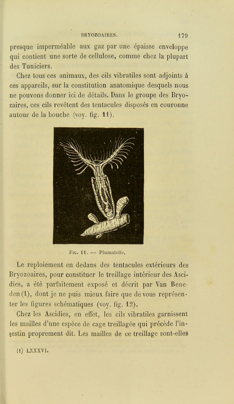 presque imperméable aux gaz par une épaisse enveloppe qui contient une sorte de cellulose, comme chez la plupart des Tuniciers. Chez tous ces animaux, des cils vibratiles sont adjoints à ces appareils, sur la constitution anatomique desquels nous ne pouvons donner ici de détails. Dans le groupe des Bryo- zaires, ces cils revêtent des tentacules disposés en couronne autour de la bouche (voy. fig. 11). Fig. 11. — Plumatelle. Le reploiement en dedans des tentacules extérieurs des Bryozoaires, pour constituer le treillage intérieur des Asci- dies, a été parfaitement exposé et décrit par Van Bene- den(l), dont je ne puis mieux faire que de vous représen- ter les figures schématiques (voy. fig. 12). Chez les Ascidies, en effet, les cils vibratiles garnissent les mailles d'une espèce de cage treillagée qui précède l'in- testin proprement dit. Les mailles de ce treillage sont-elles