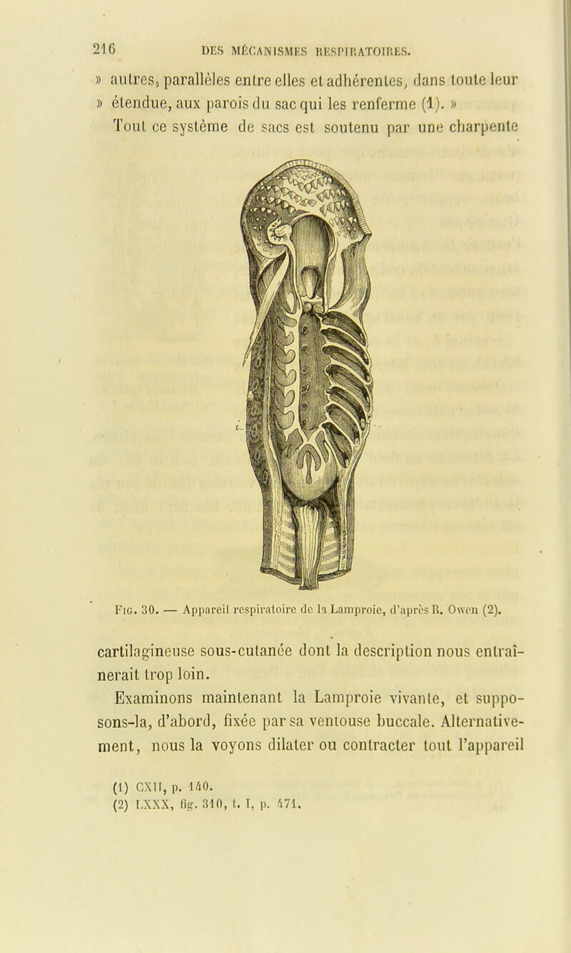 » autres, parallèles entre elles et adhérentes, dans toute leur » étendue, aux parois du sac qui les renferme (1). » Tout ce système de sacs est soutenu par une charpente Fig. 30. — Appareil respiratoire de la Lamproie, d'aprèsR. Oweu (2). cartilagineuse sous-cutanée dont la description nous entraî- nerait trop loin. Examinons maintenant la Lamproie vivante, et suppo- sons-la, d'abord, fixée par sa ventouse buccale. Alternative- ment, nous la voyons dilater ou contracter tout l'appareil (1) exir, p. îâo. (2) I.XXX, fis. 310, t. I, p. 471.