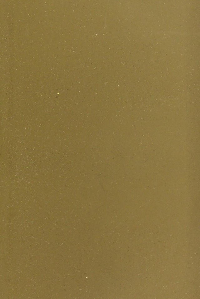 digitised image 3