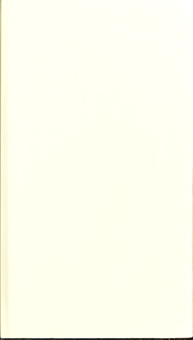 digitised image 3